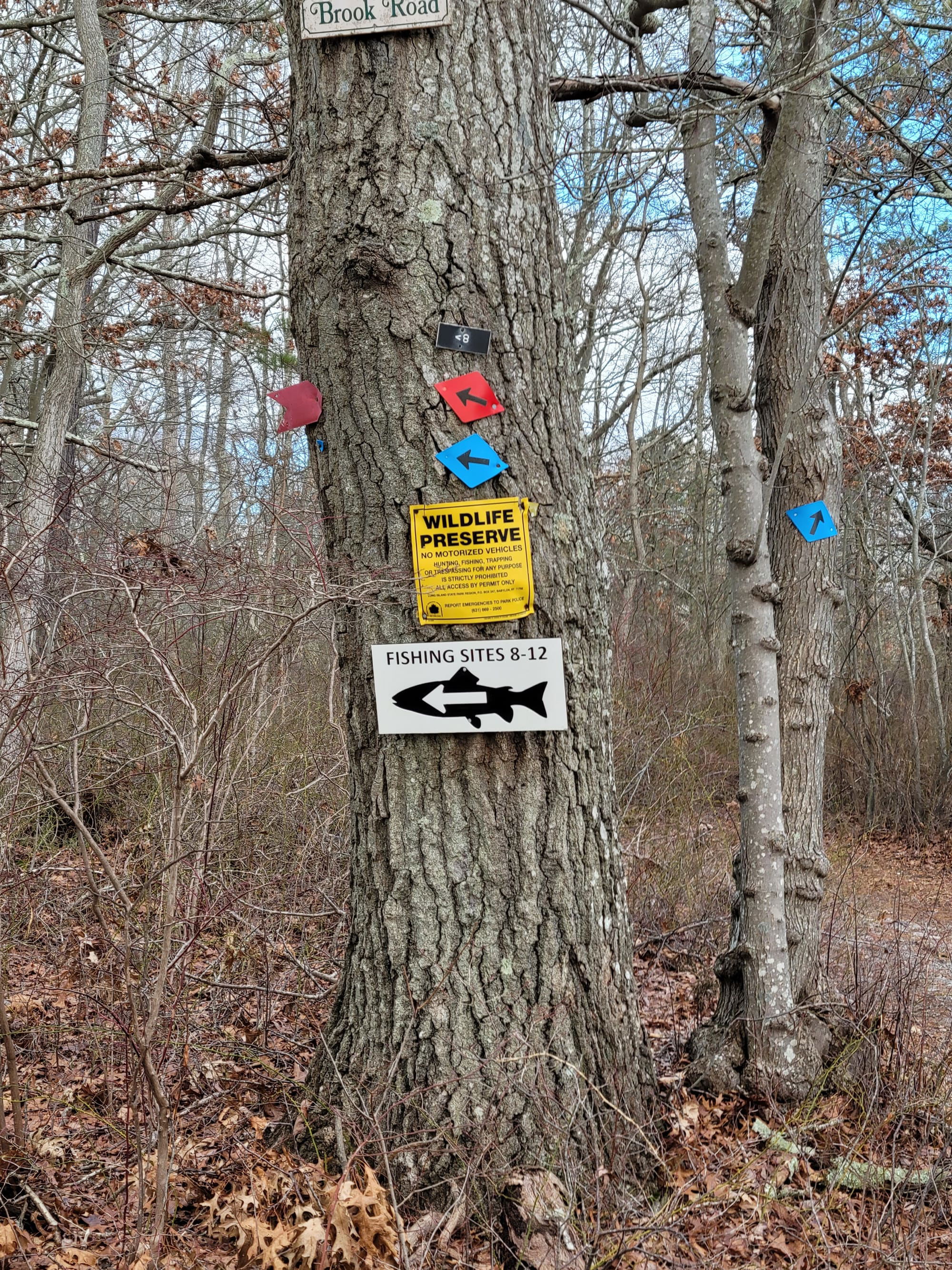 Connetquot River State Park Preserve (Oakdale, NY)