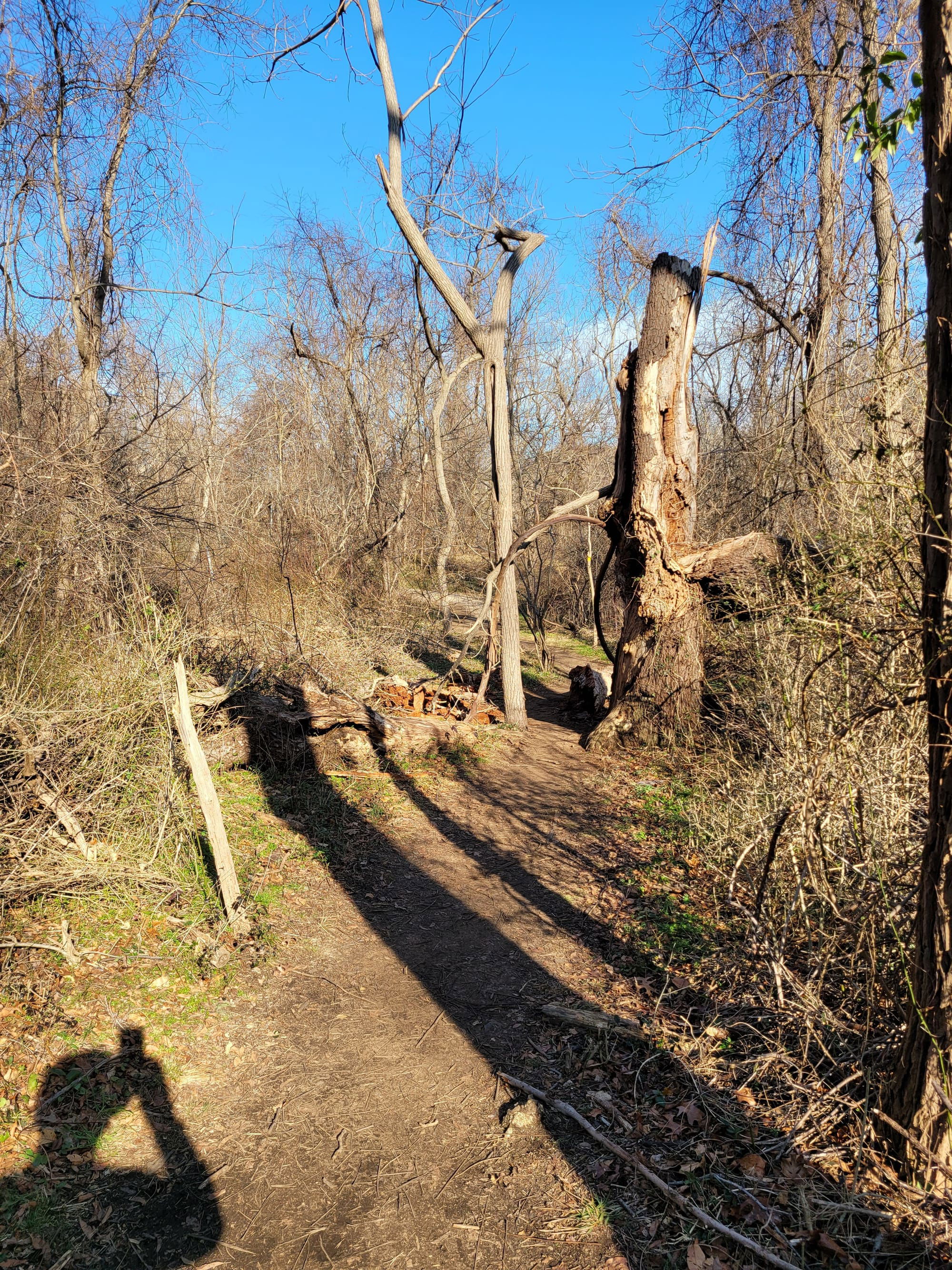 Makamah Nature Preserve Trails (Fort Salonga, NY)