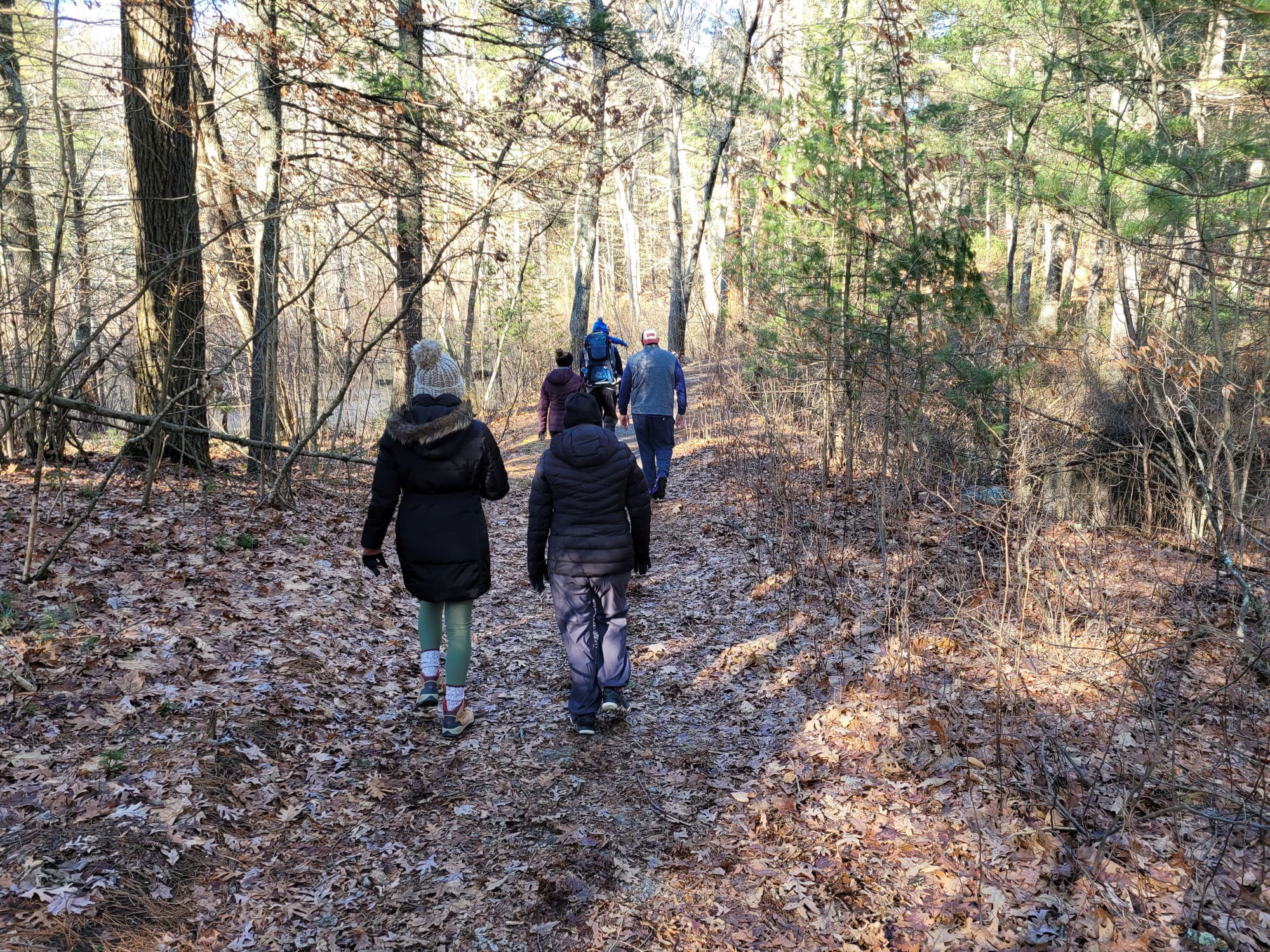 Noanet Woodlands Hiking Trails (Dover, MA)