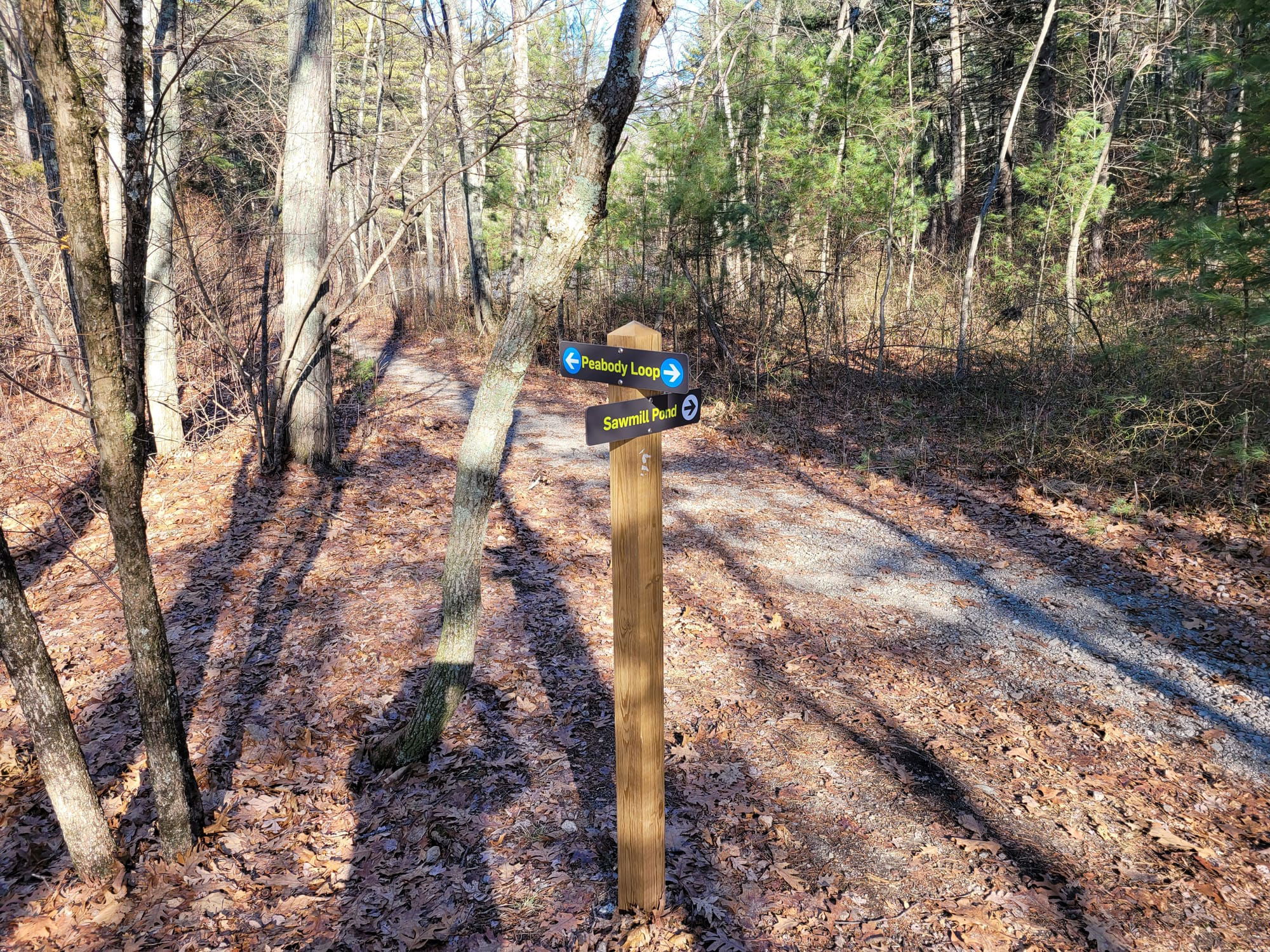 Noanet Woodlands Hiking Trails (Dover, MA)