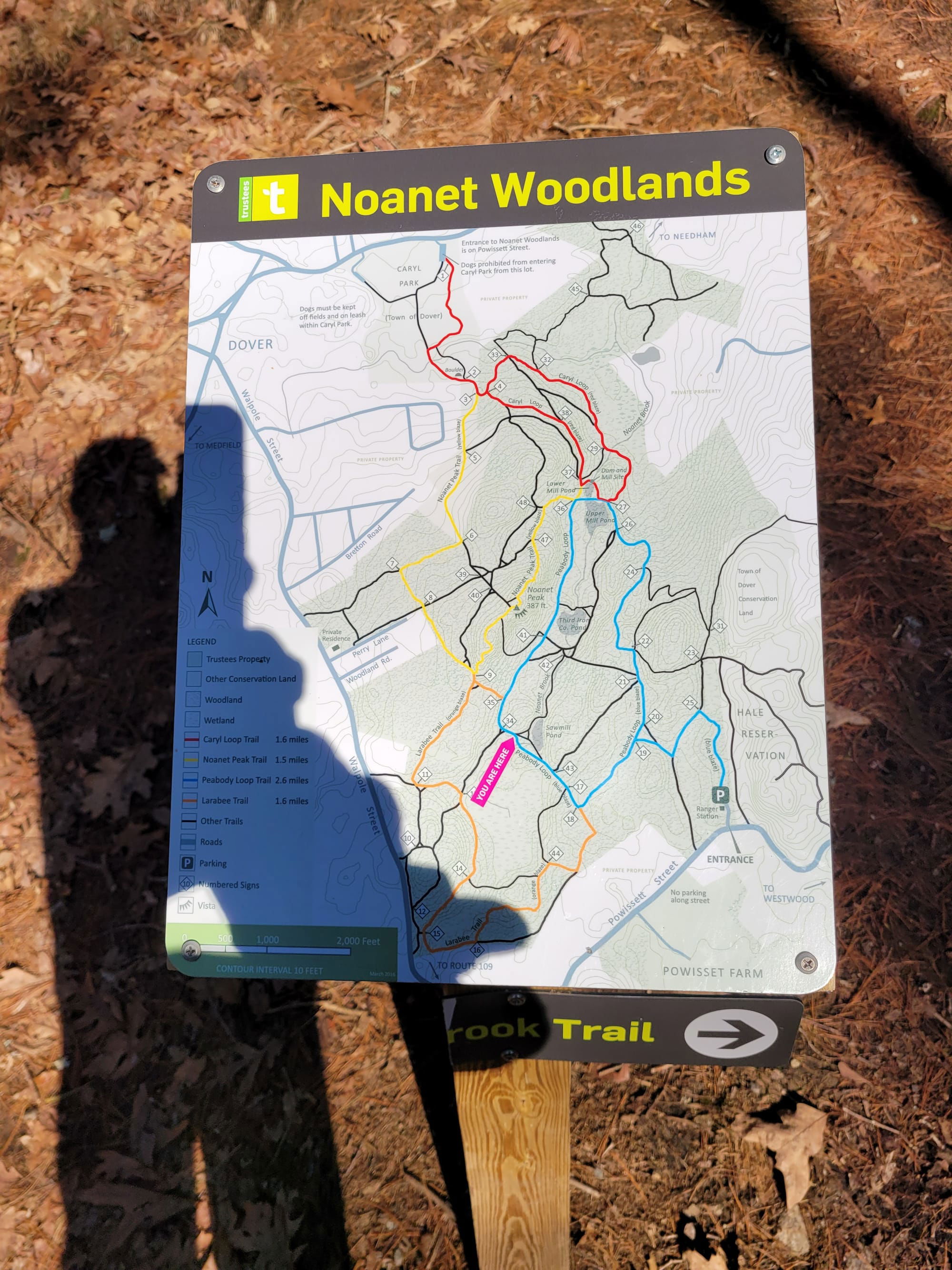 Noanet Woodlands Hiking Trails (Dover, MA)
