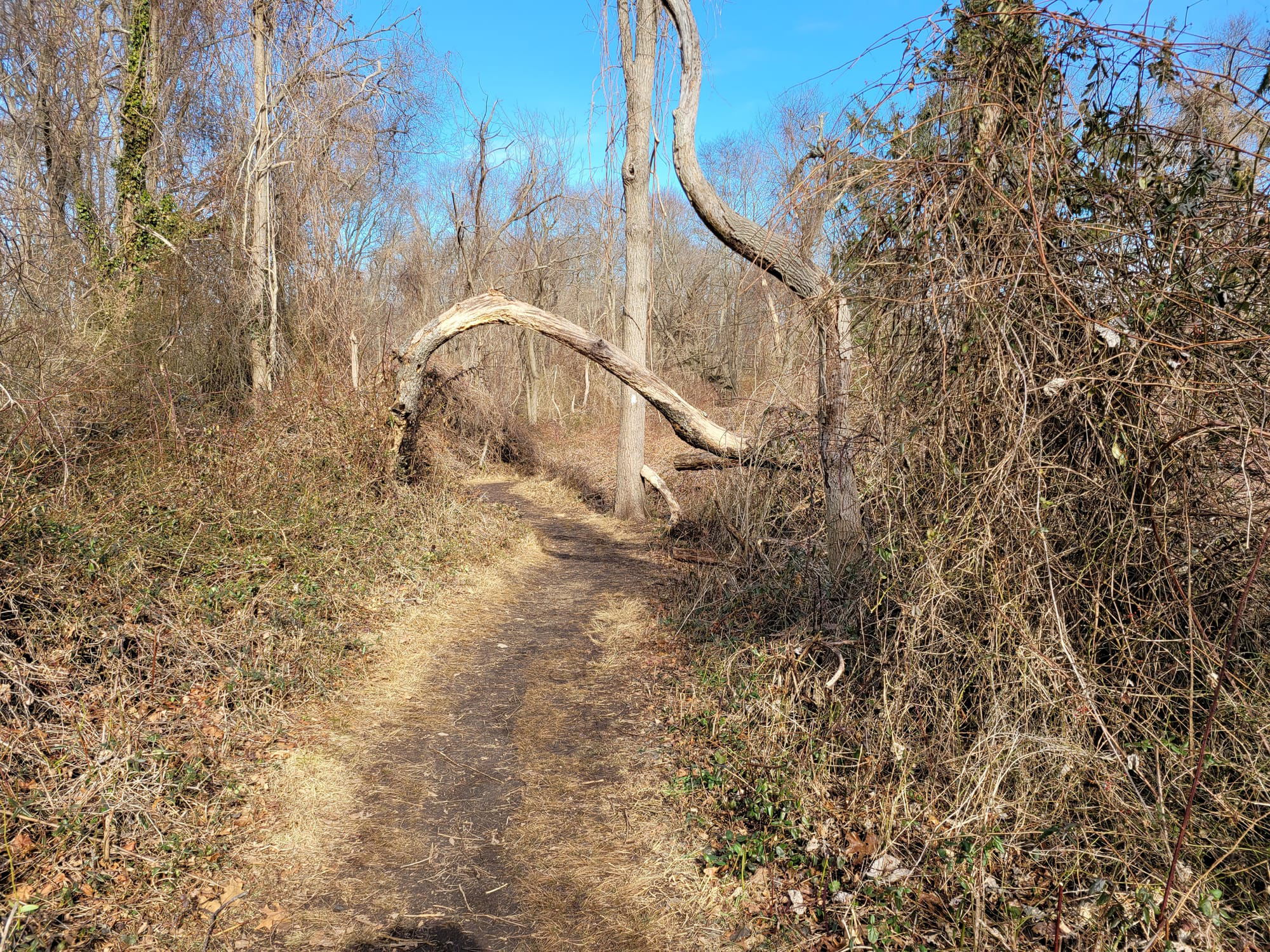 Trail View State Park (Woodbury, NY)