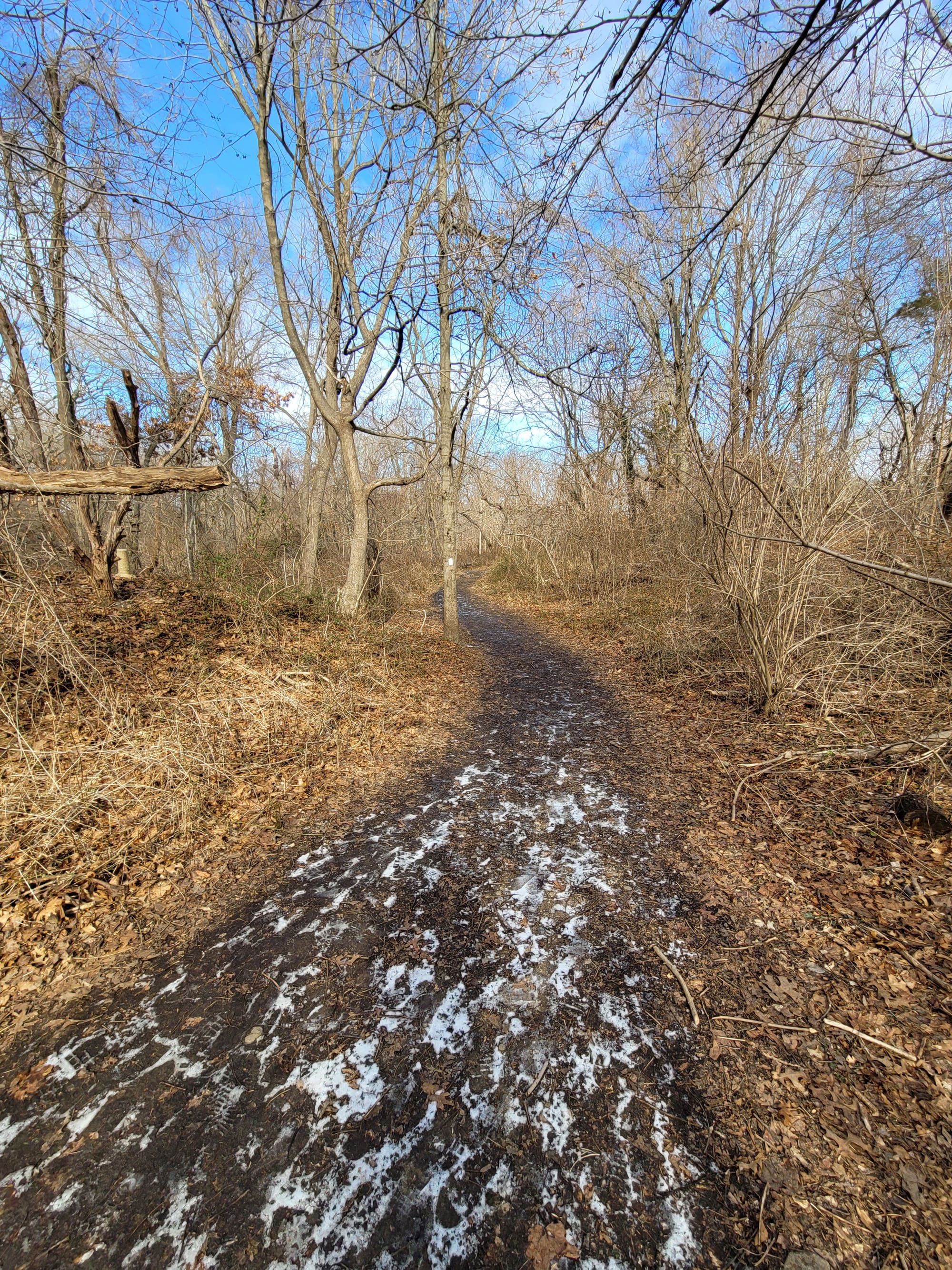 Trail View State Park (Woodbury, NY)