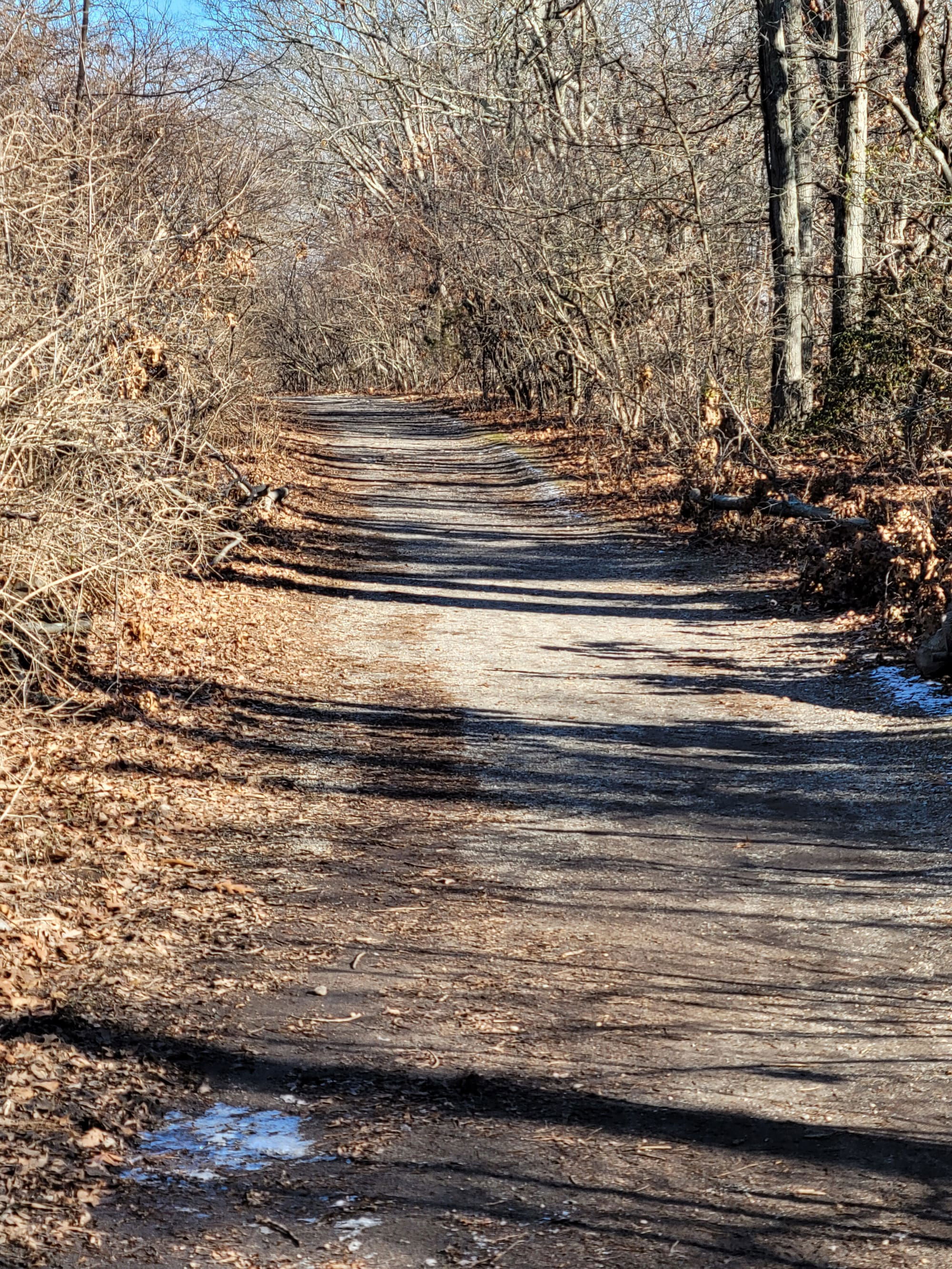 Stillwell Woods Preserve (Woodbury, NY)