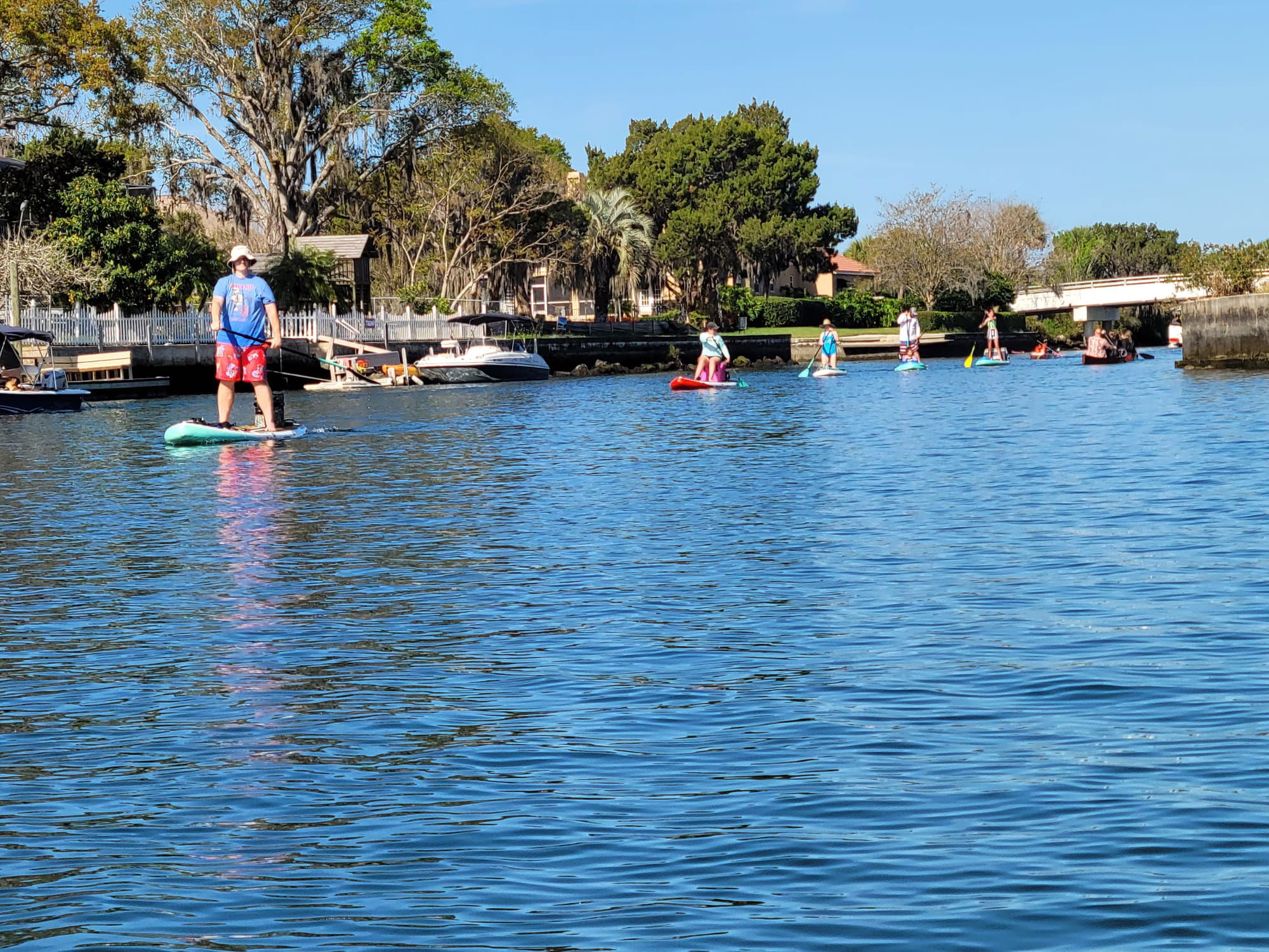 Paddle Outdoor Rentals  (Crystal River, Florida) - Paddle Boards