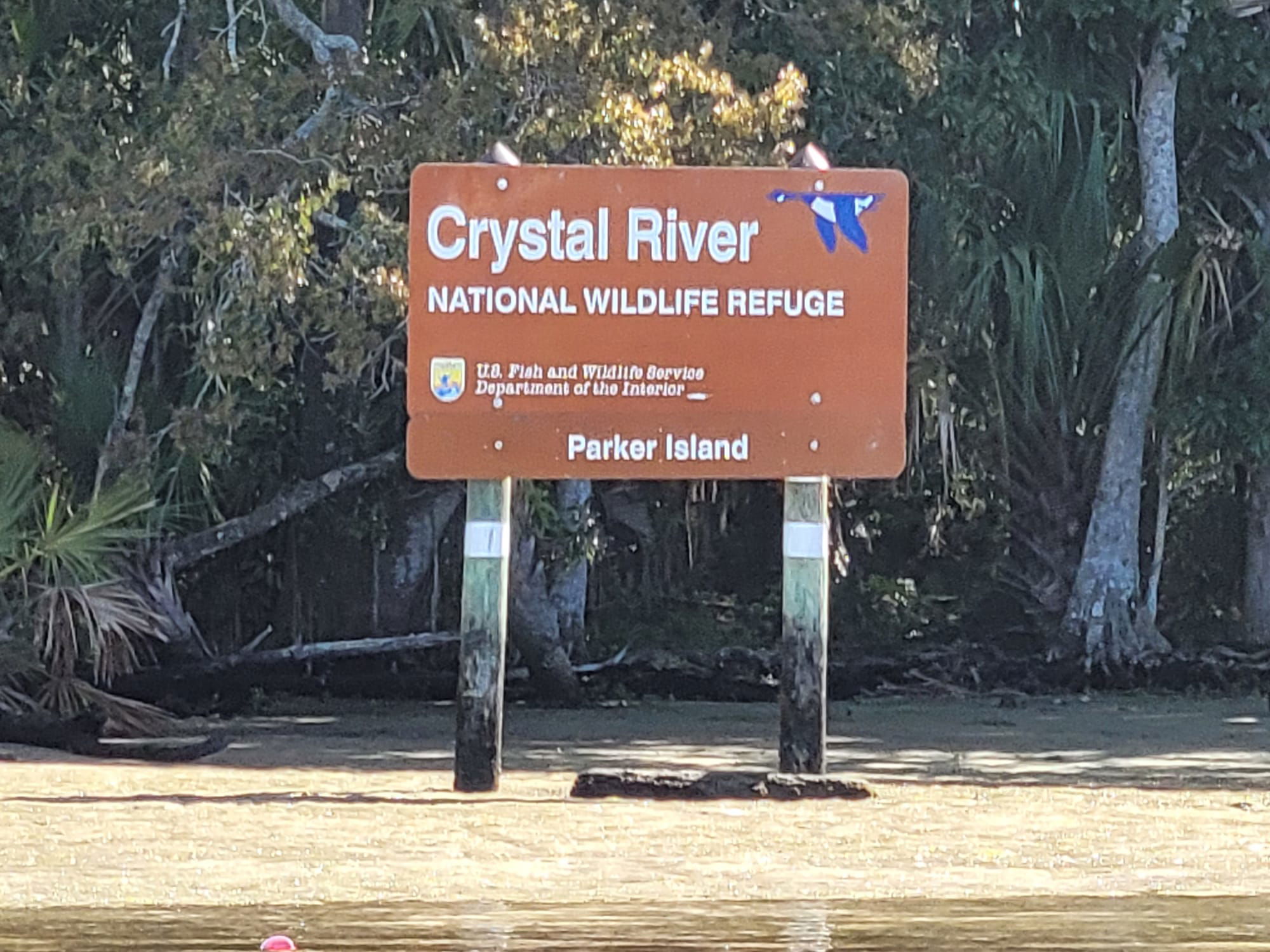Paddle Outdoor Rentals  (Crystal River, Florida) - National Wildlife Refuge