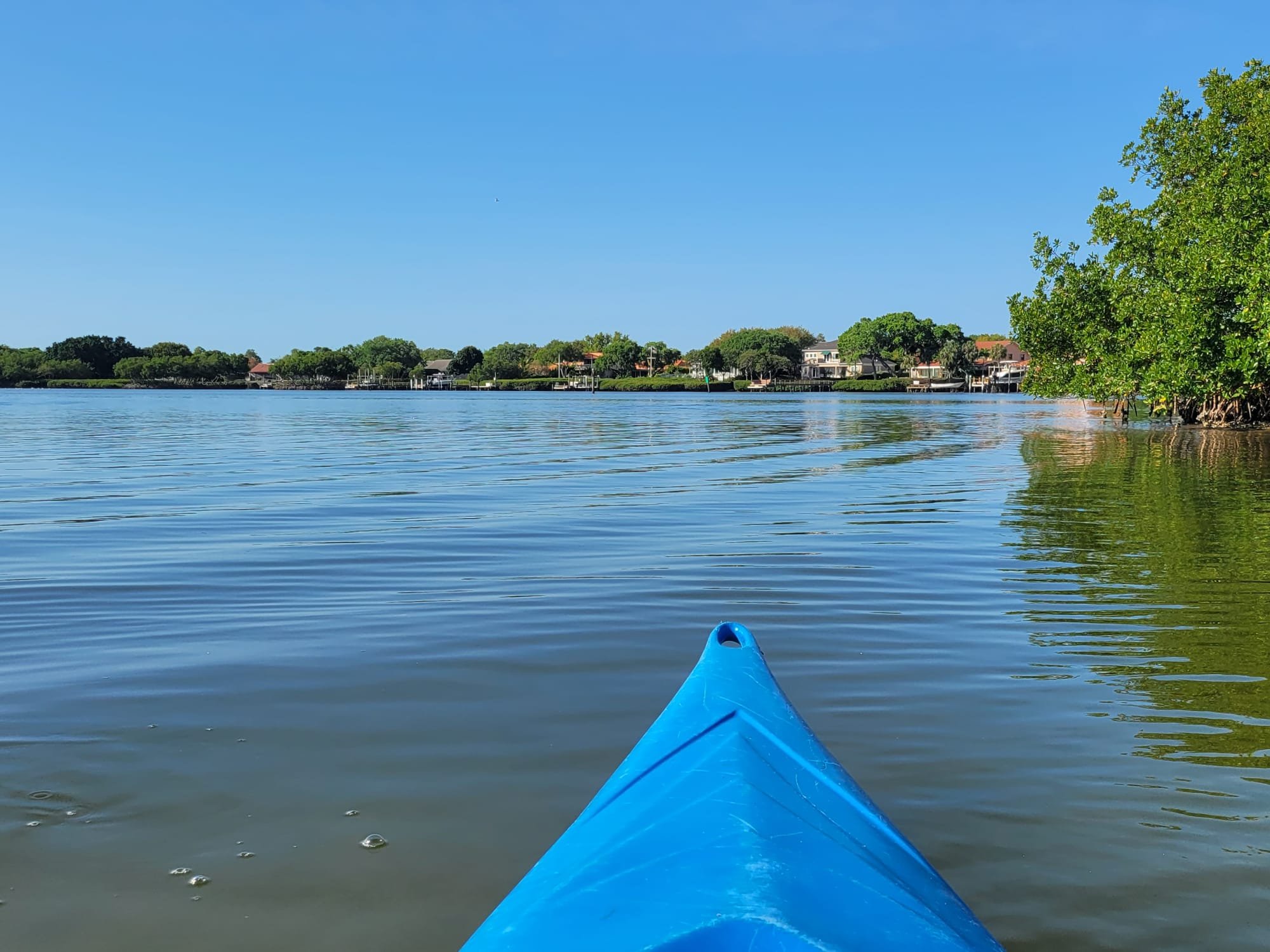 Sweetwater Kayaks - Weedon Island Preserve (St. Petersburg, Florida)