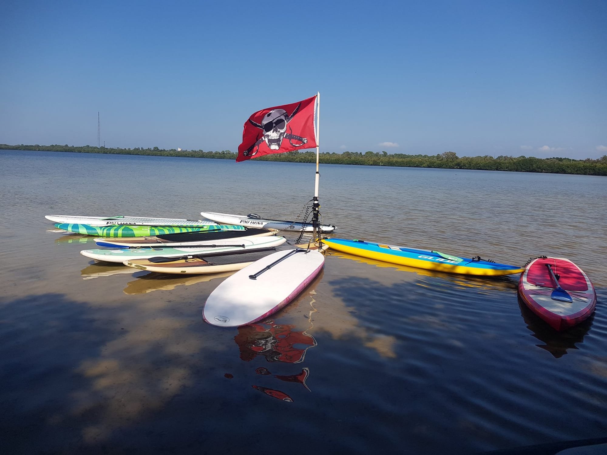 Sweetwater Kayaks - Weedon Island Preserve (St. Petersburg, Florida) - 3/15/21