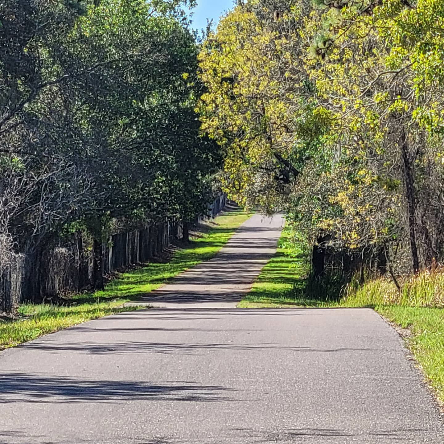 Suncoast Trail (Spring Hill, Florida)