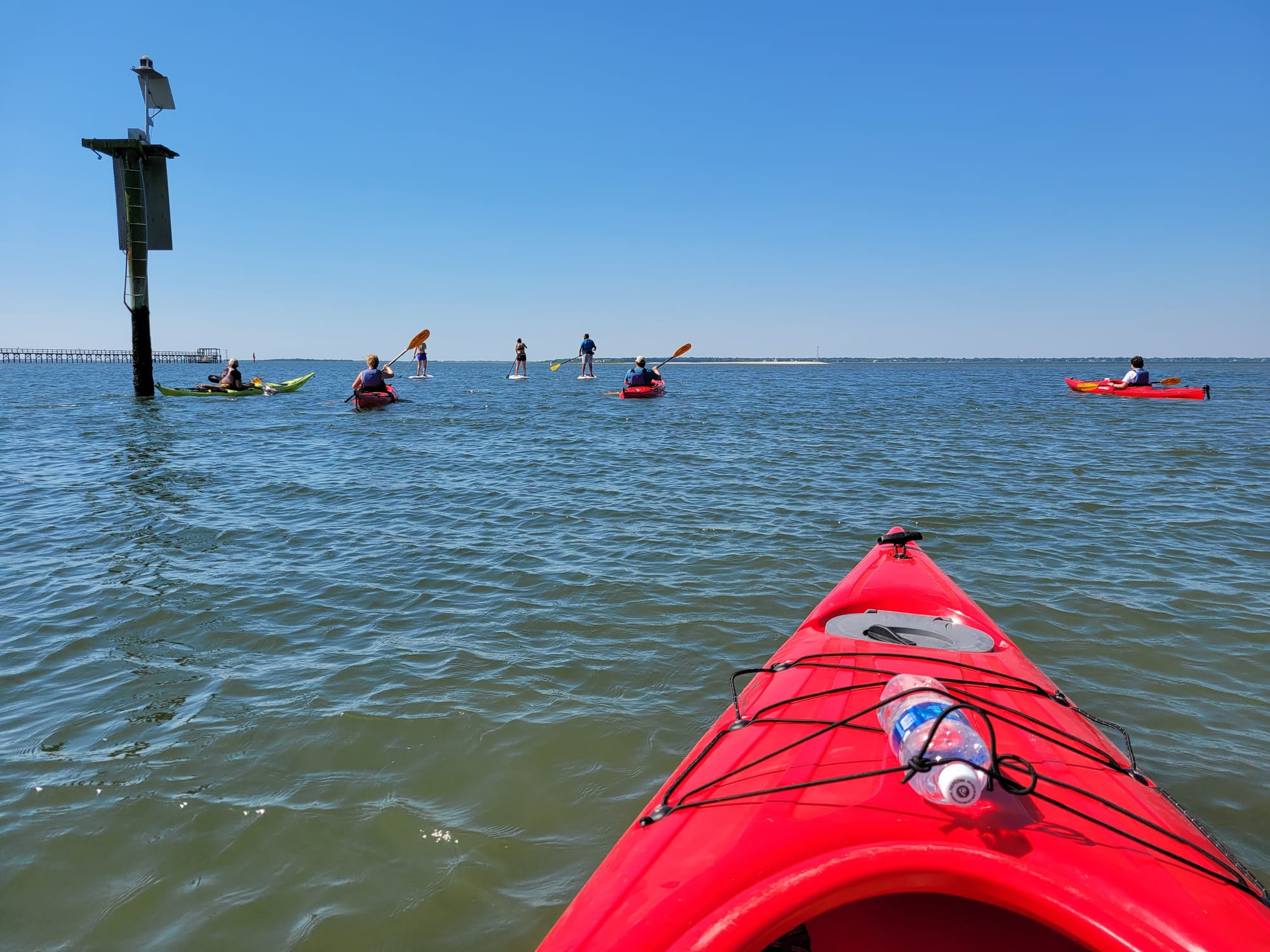 Coastal Expeditions @ Shem Creek, Mt. Pleasant, SC: Two Hour Kayak Tour