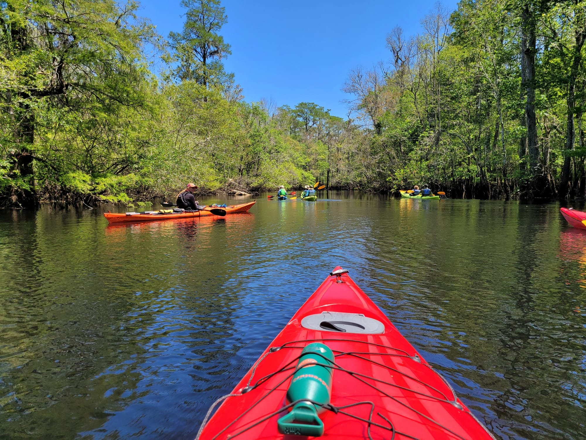 REI Trip: Francis Marion National Forest - Echaw Creek
