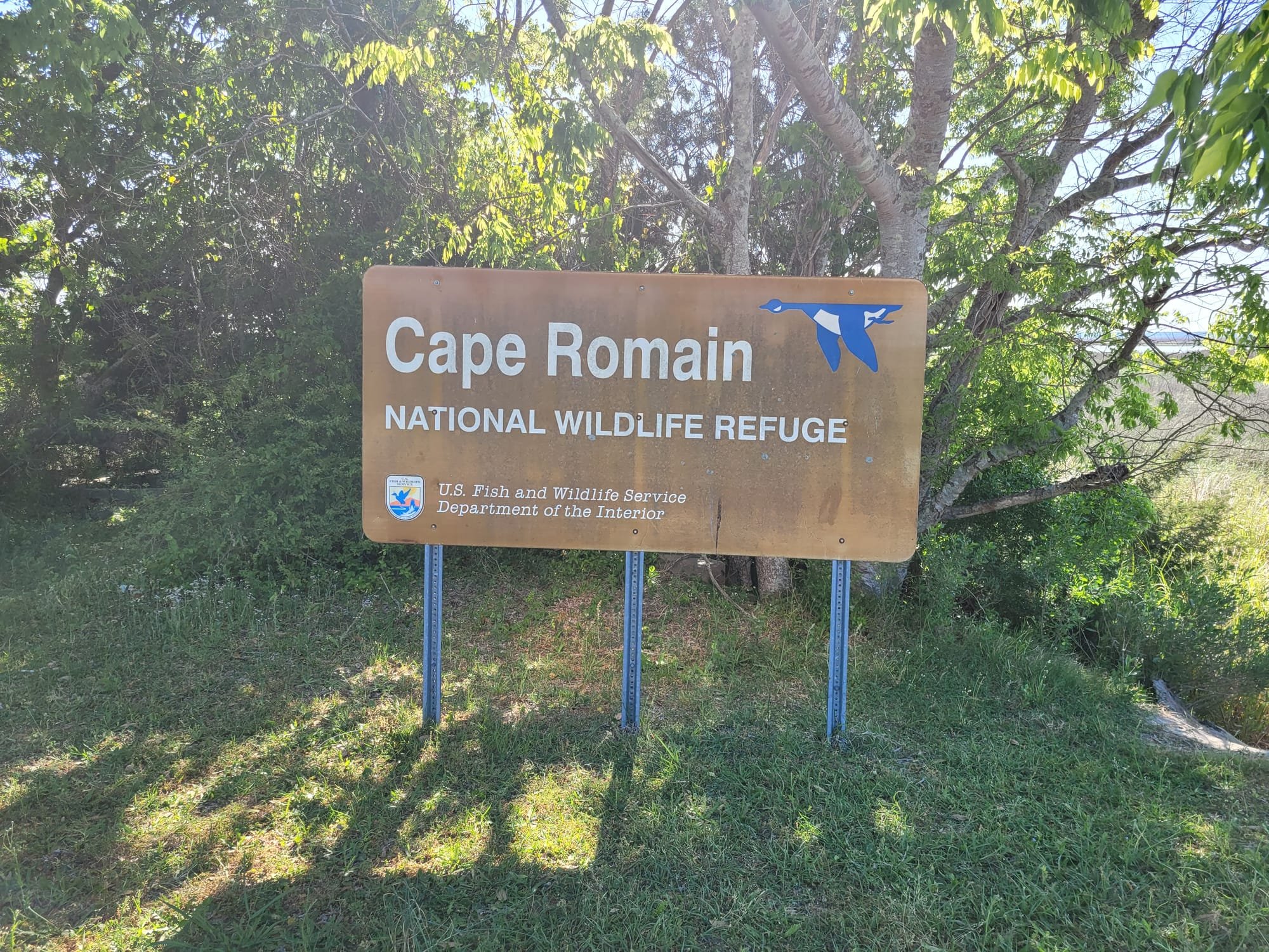 REI Trip: Cape Romain - Kayak Launching Point for Bulls Island