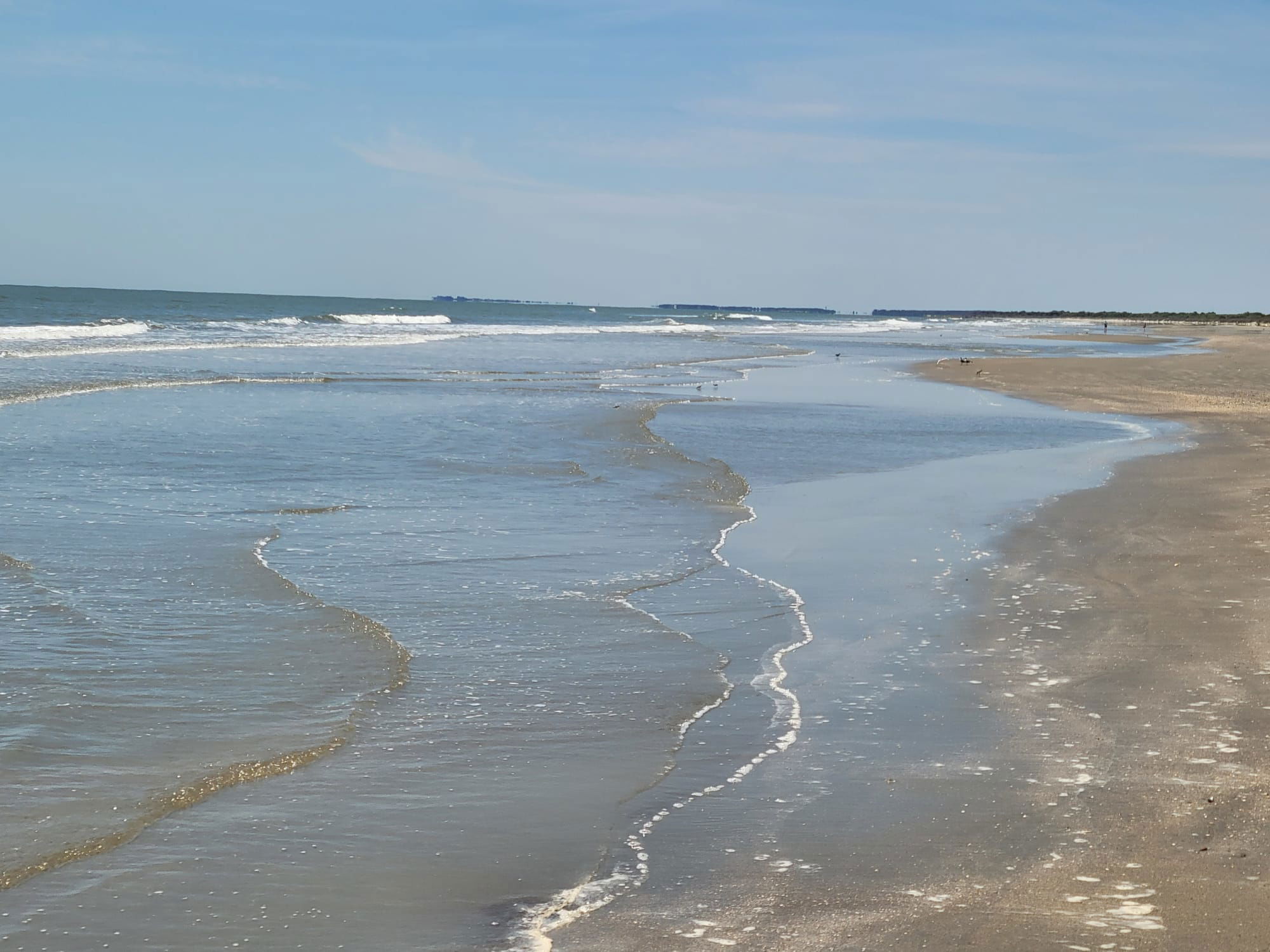 REI Trip: Bulls Island Beach