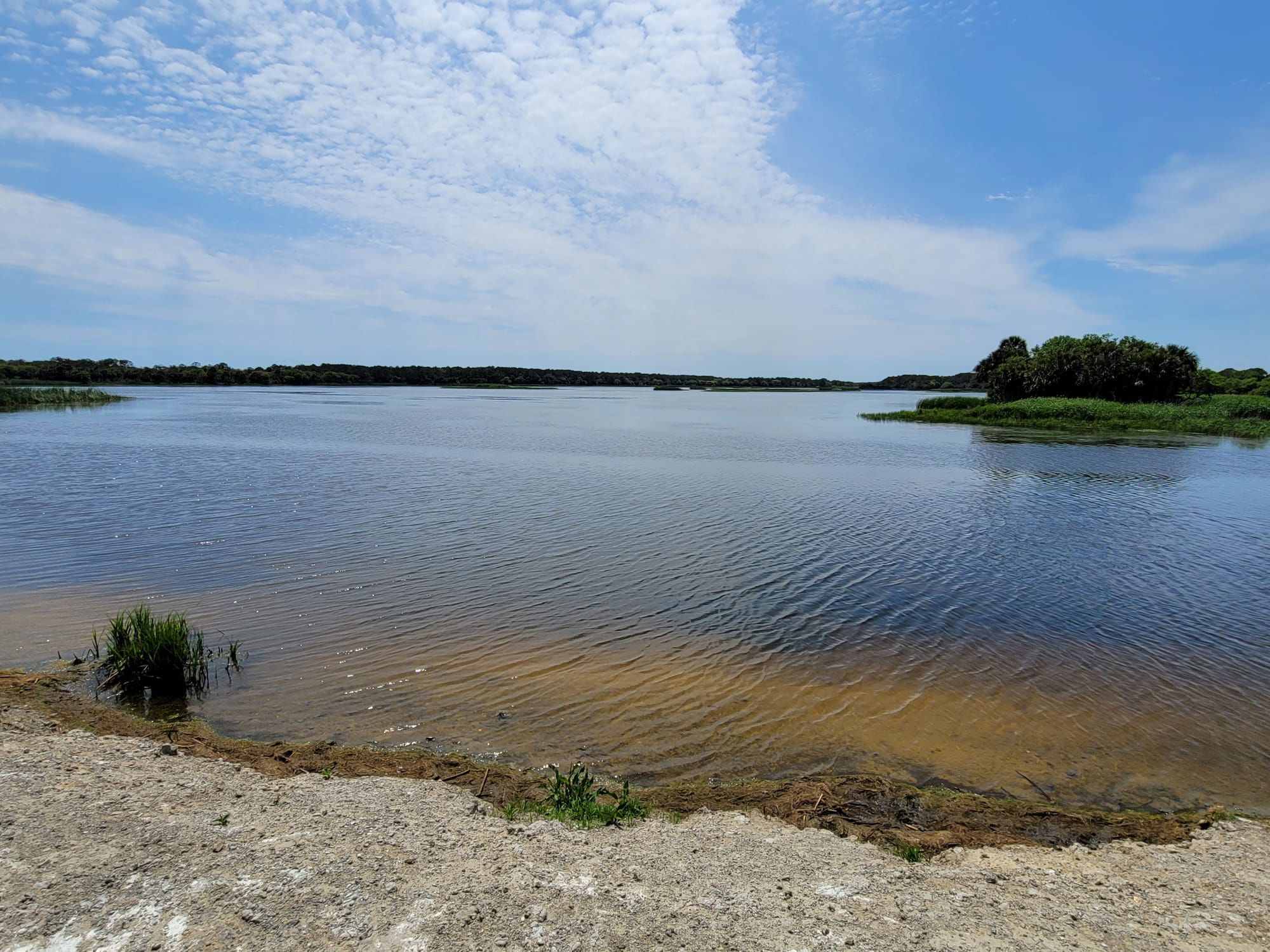 REI Trip: Bulls Island