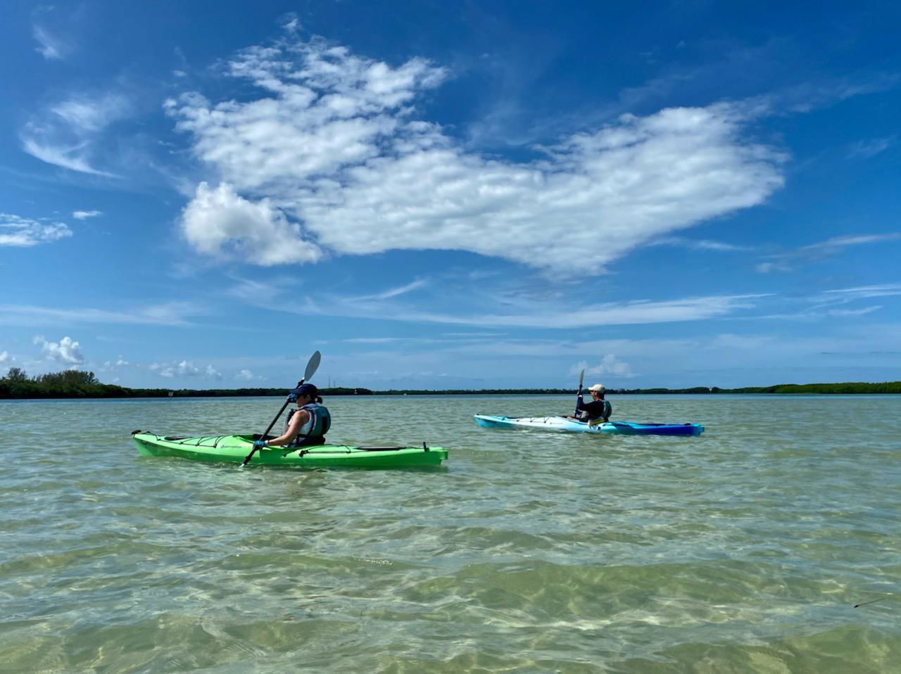 Coastal Kayak Charters tour of the Shell Key Preserve  - St. Petersburg, Florida