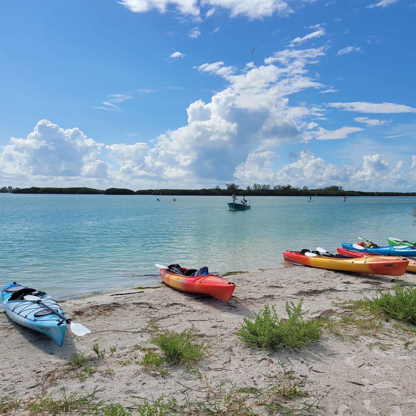 Coastal Kayak Charters tour of the Shell Key Preserve  - St. Petersburg, Florida