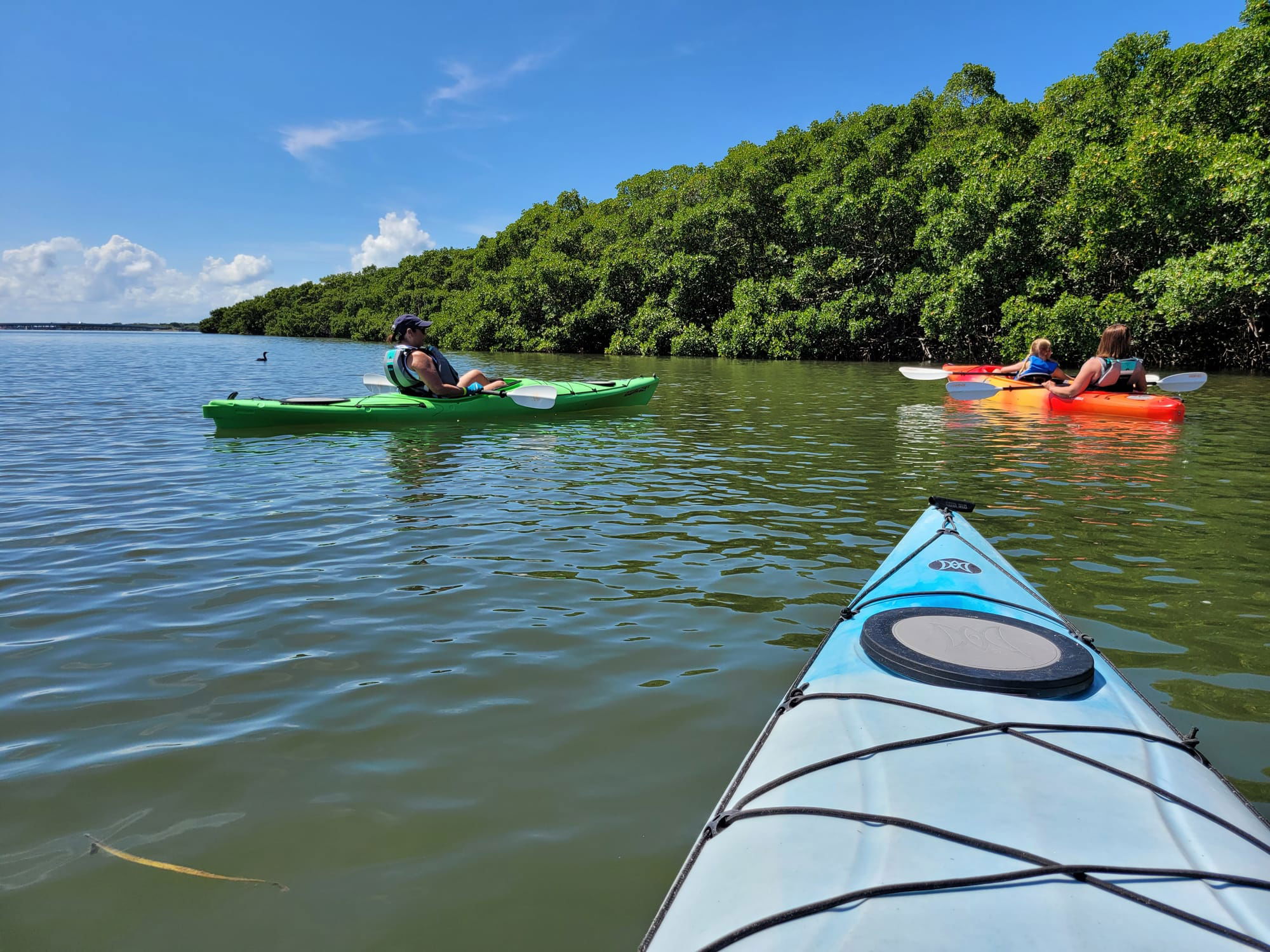 Coastal Kayak Charters tour of the Shell Key Preserve  - St. Petersburg, Florida