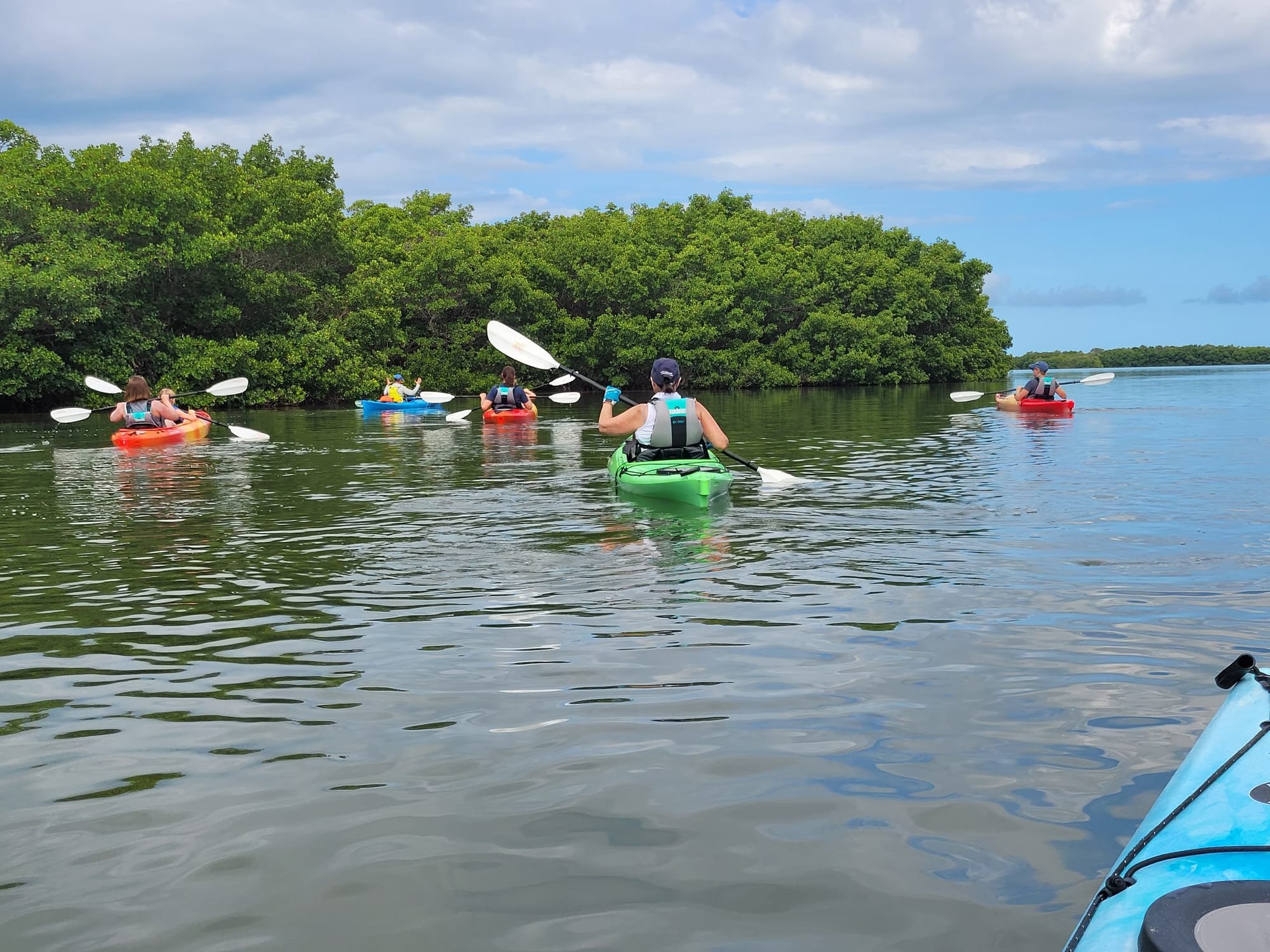 Coastal Kayak Charters tour of the Shell Key Preserve  - St. Petersburg, Florida