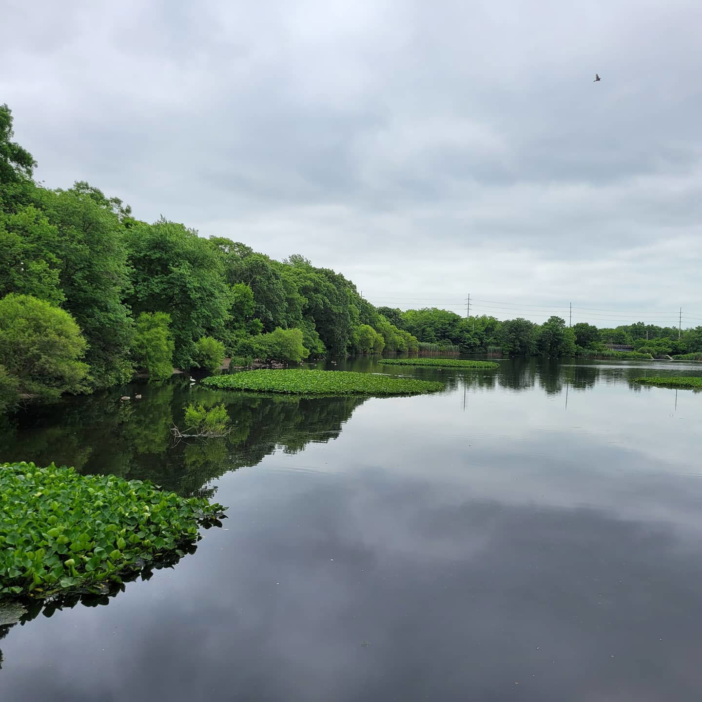 Bethpage State Park Bike Trail - 6/25/21