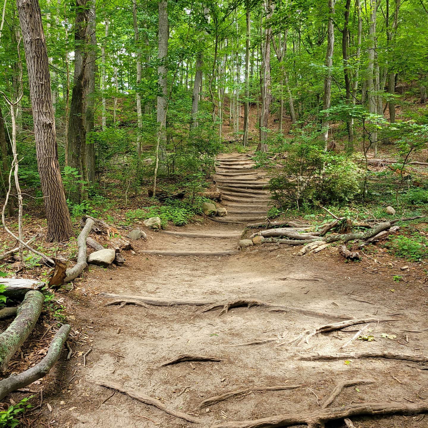 Cold Spring Harbor State Park Hiking Trail - 6/26/2021