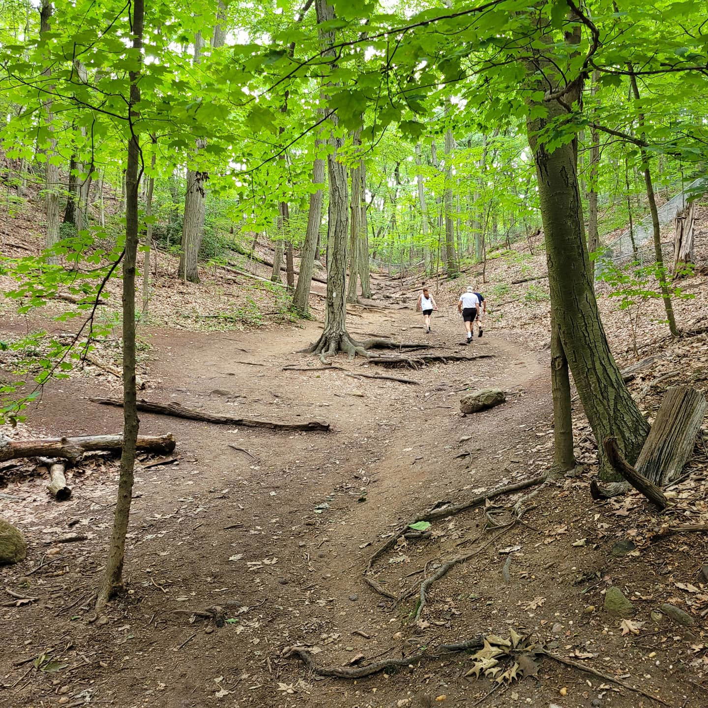 Cold Spring Harbor State Park Hiking Trail - 6/26/21