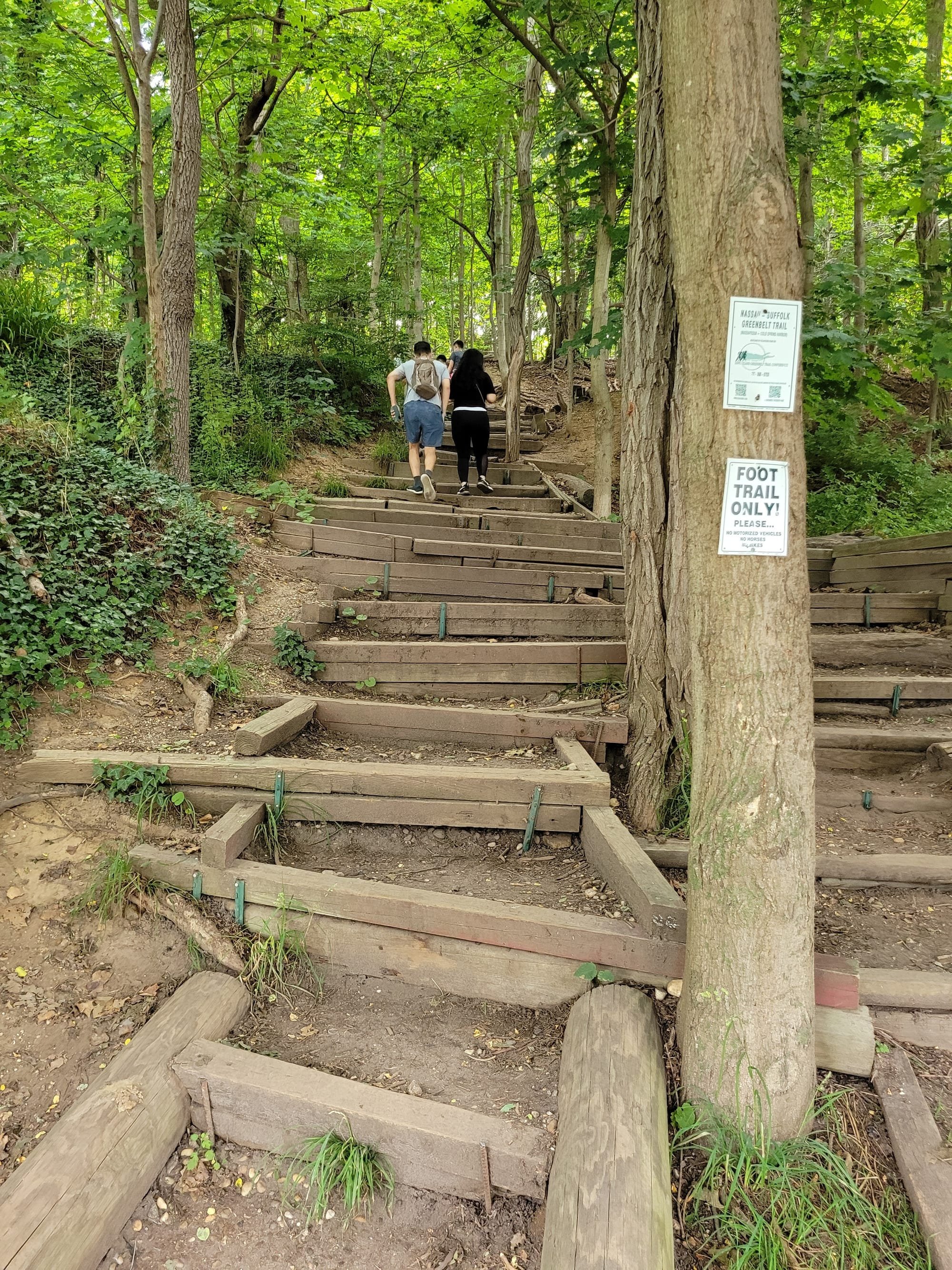 Cold Spring Harbor State Park Hiking Trail - June 26, 2021