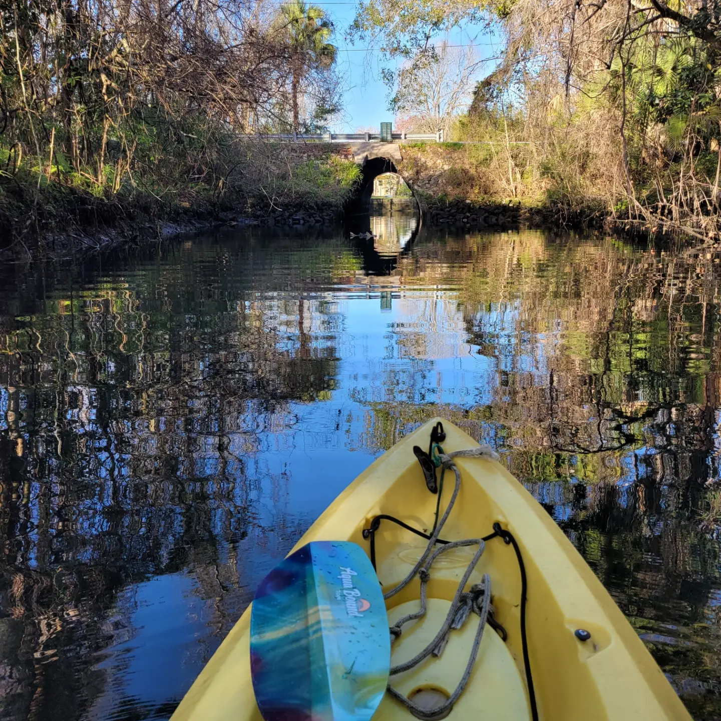 Crystal River Kayak Company & Dive Center - Crystal River, FL - 2/6/23