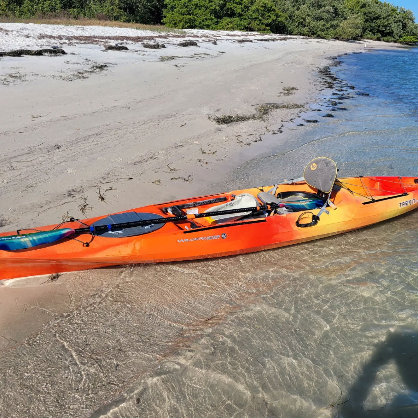 Sail Honeymoon Kayak, SUP & Sailboat Rentals - Caladesi Island, Dunedin, FL - 2/8/23