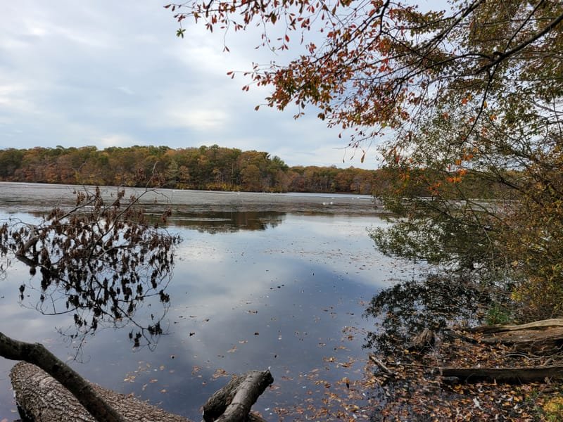 Blydenburgh County Park - Stump Pond Loop Trail (Smithtown, NY)