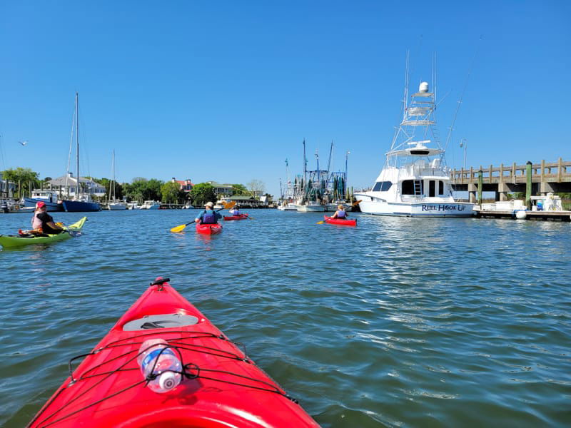 SOUTH CAROLINA: Coastal Expeditions (Mt. Pleasant, South Carolina)