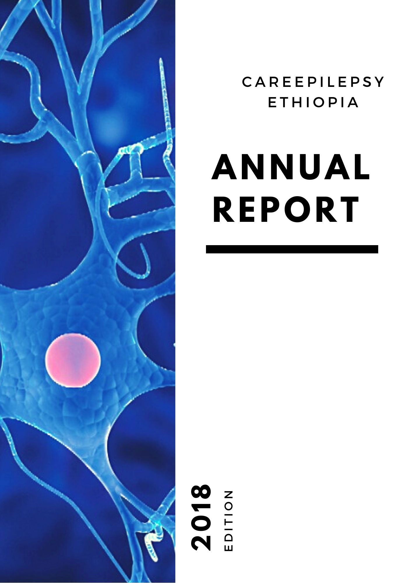 Annual Report 2018