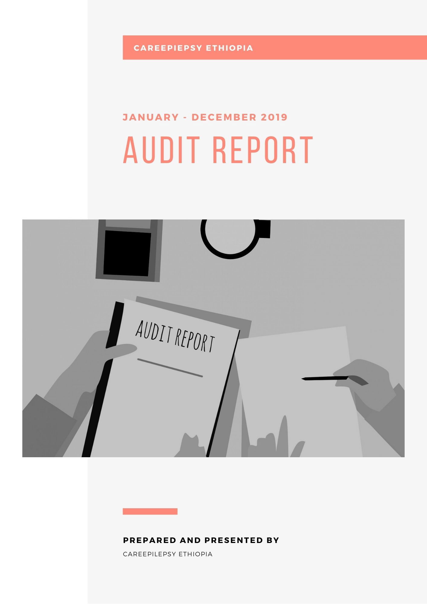 Financial Audit Report 2019