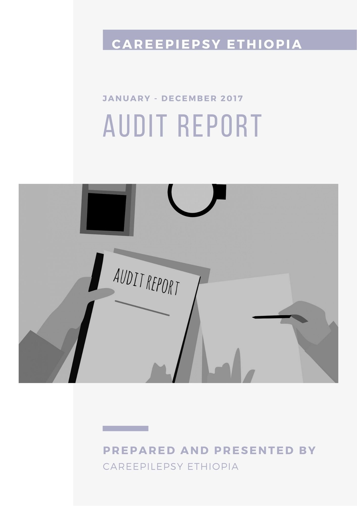Financial Audit Report 2017