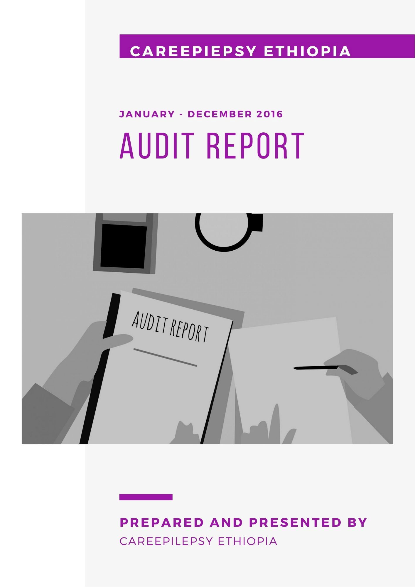 Financial Audit Report 2016
