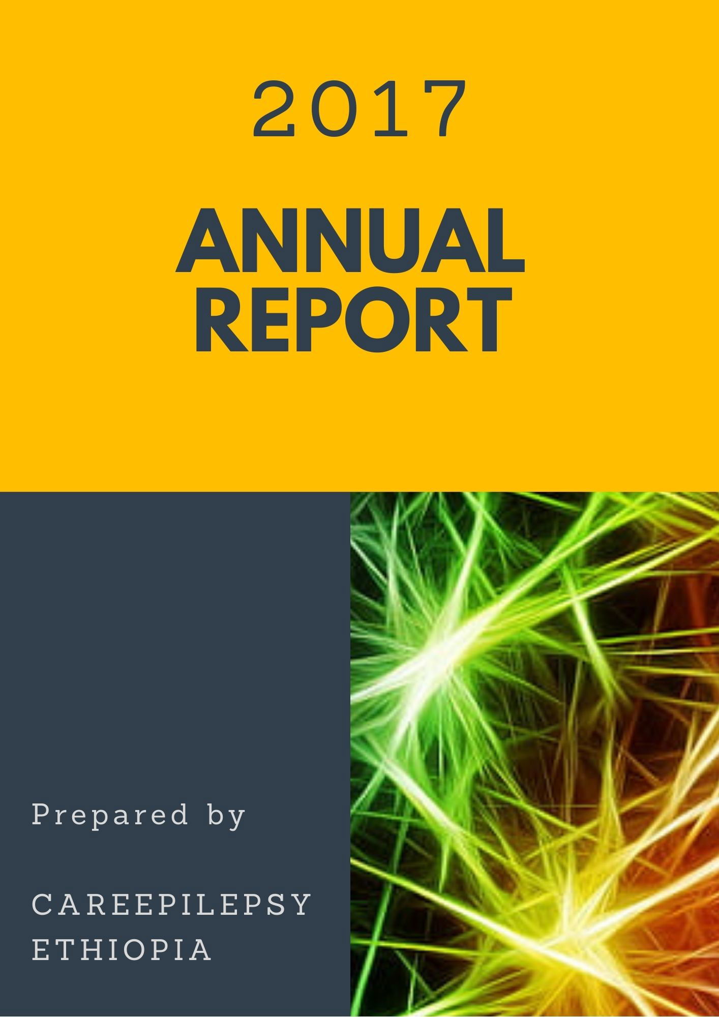 Annual Report 2017