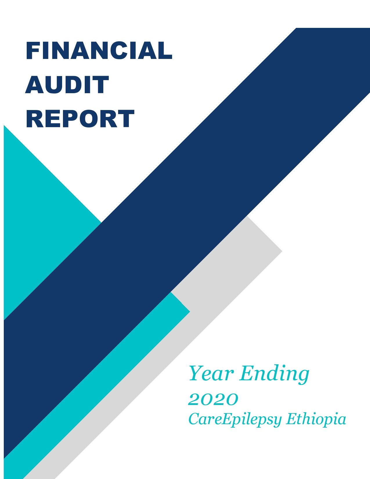 Financial Audit Report 2020