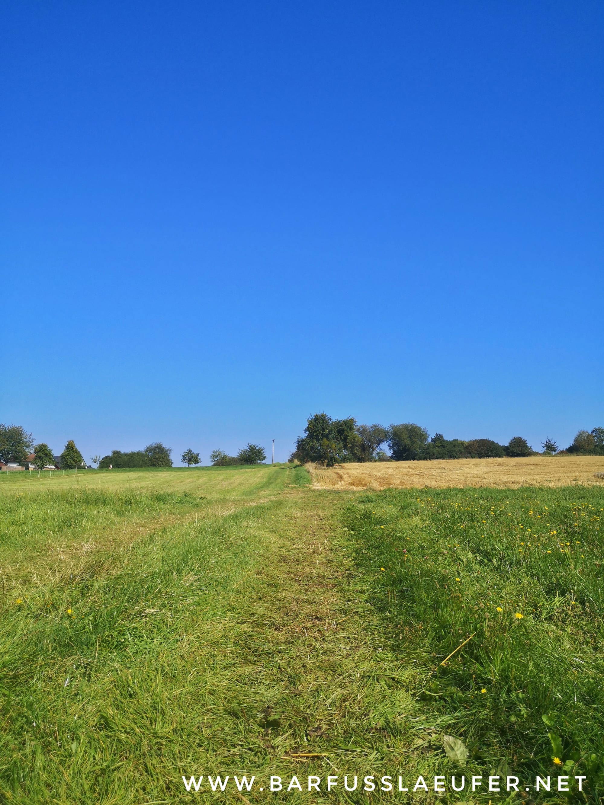 Spätsommer