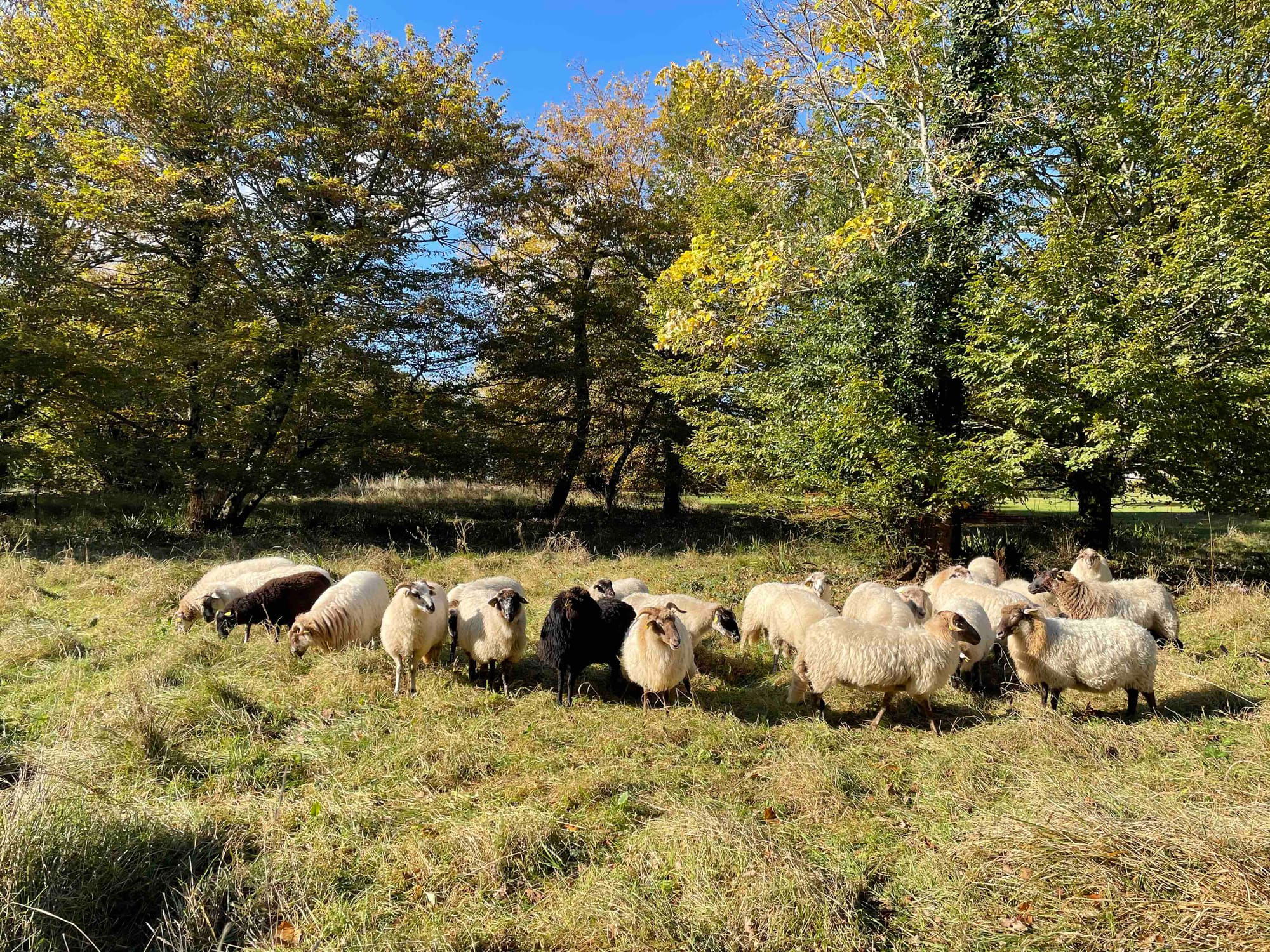 Notre engagement environnemental