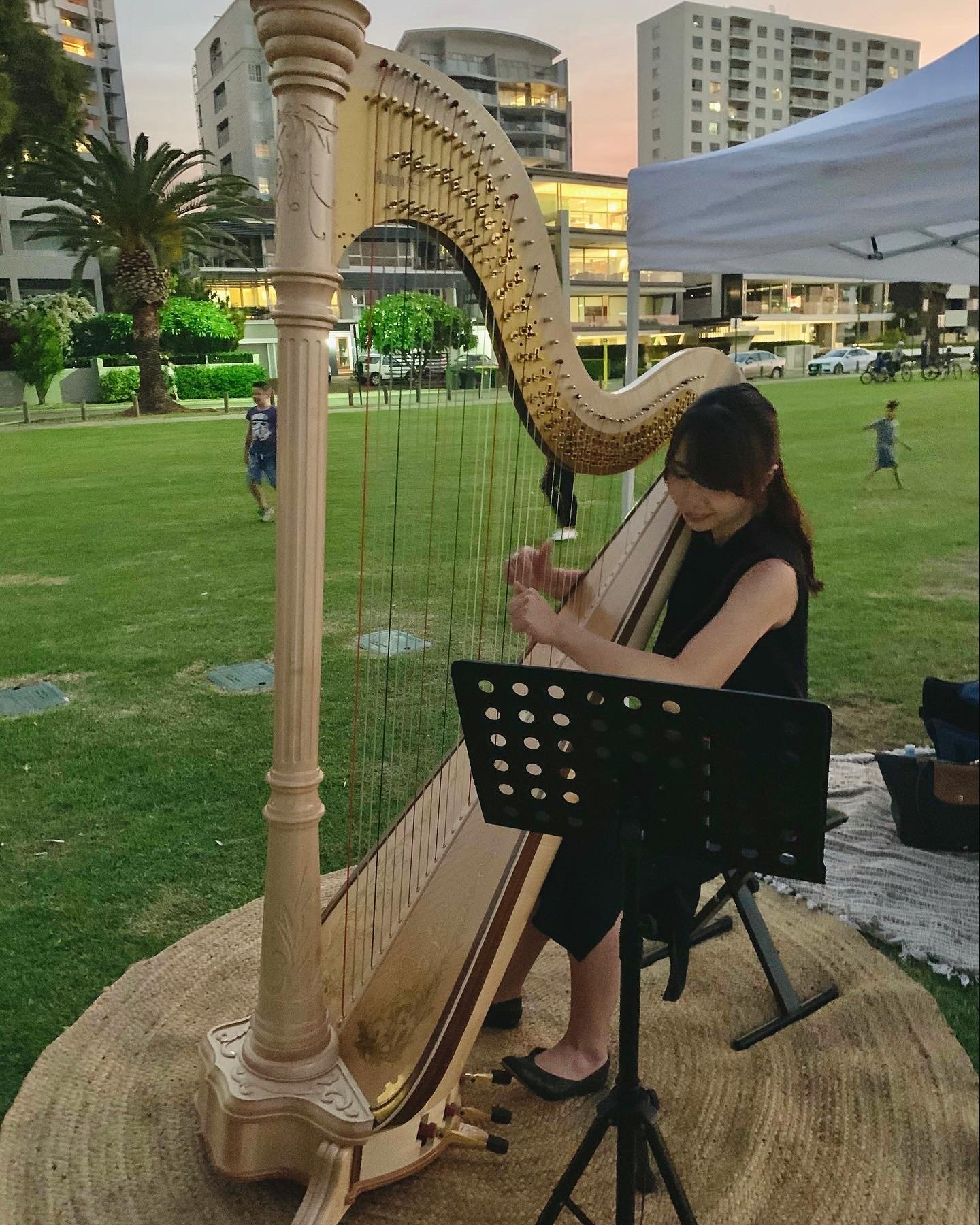 Focusing on the Harp