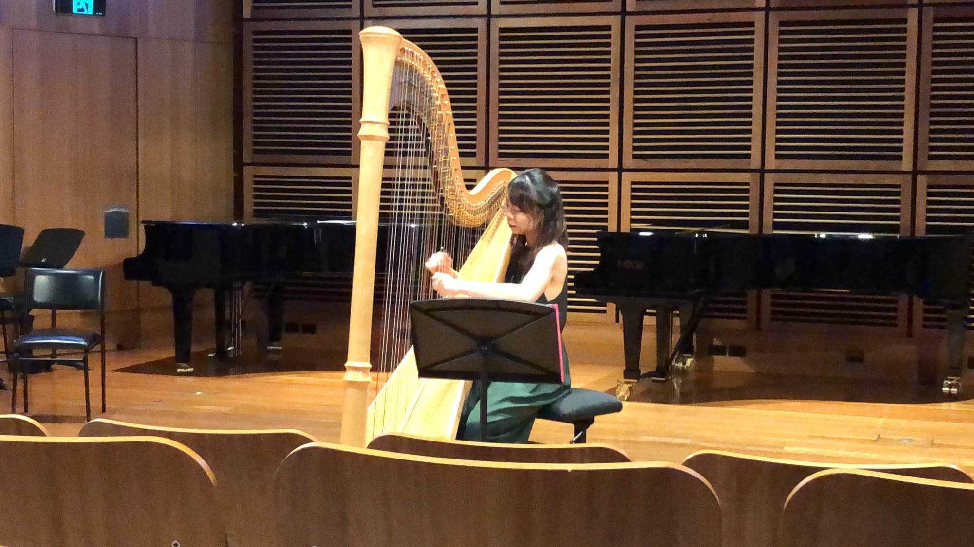 Harp recital 2017
