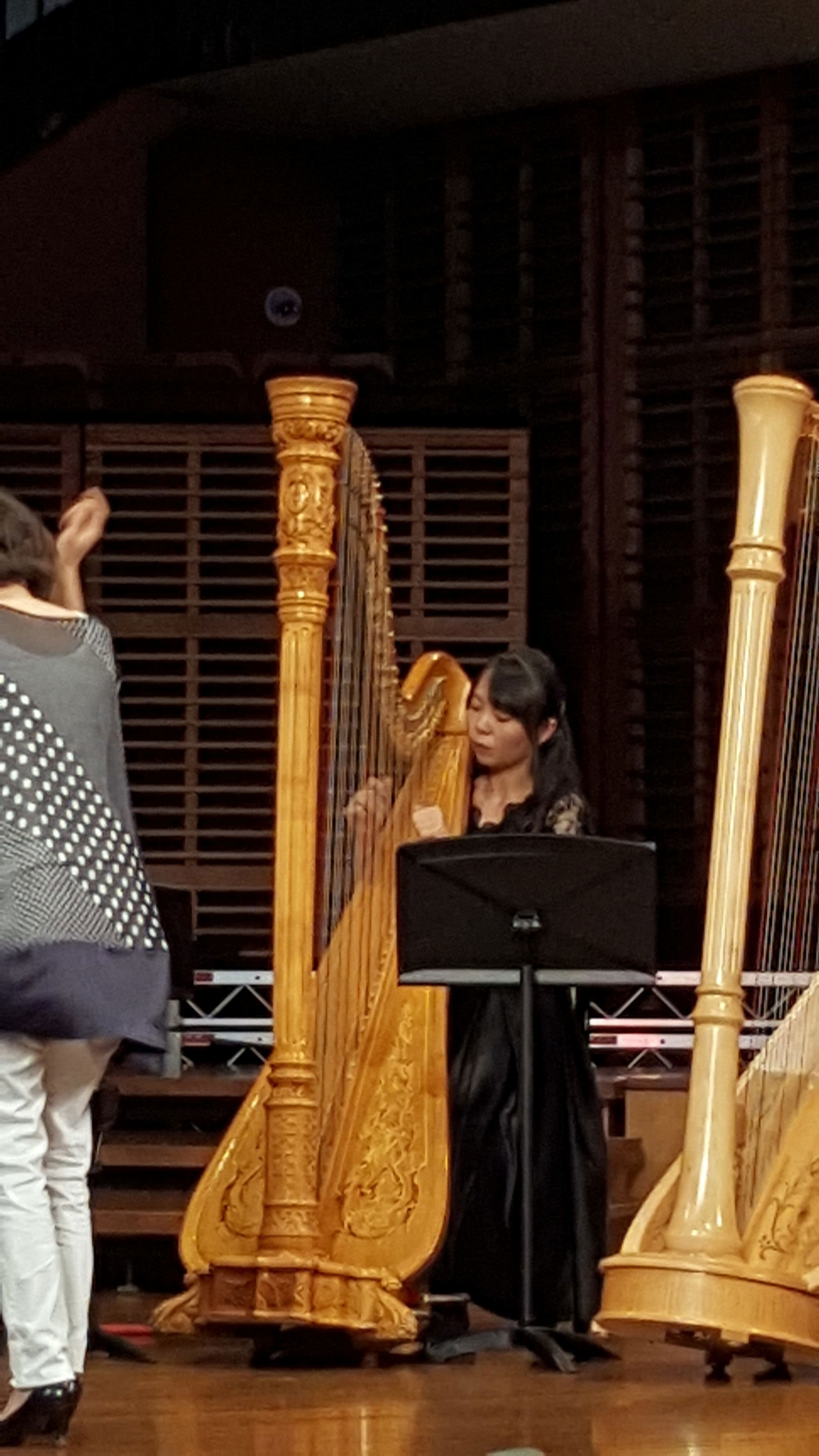 Harp ensemble playing