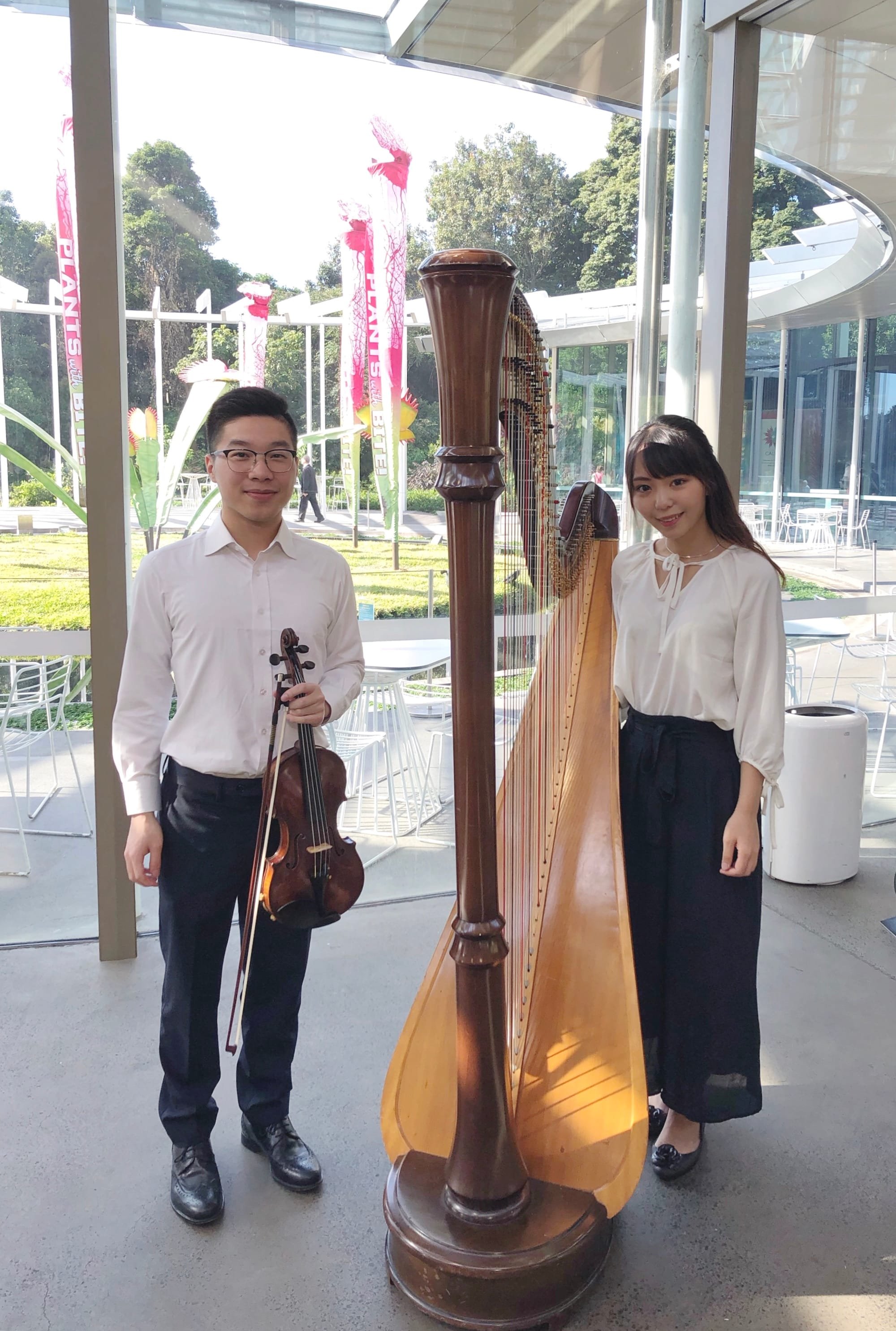 Harp & Violin Duet performance at Sydney Botanic Garden Calyx Festival