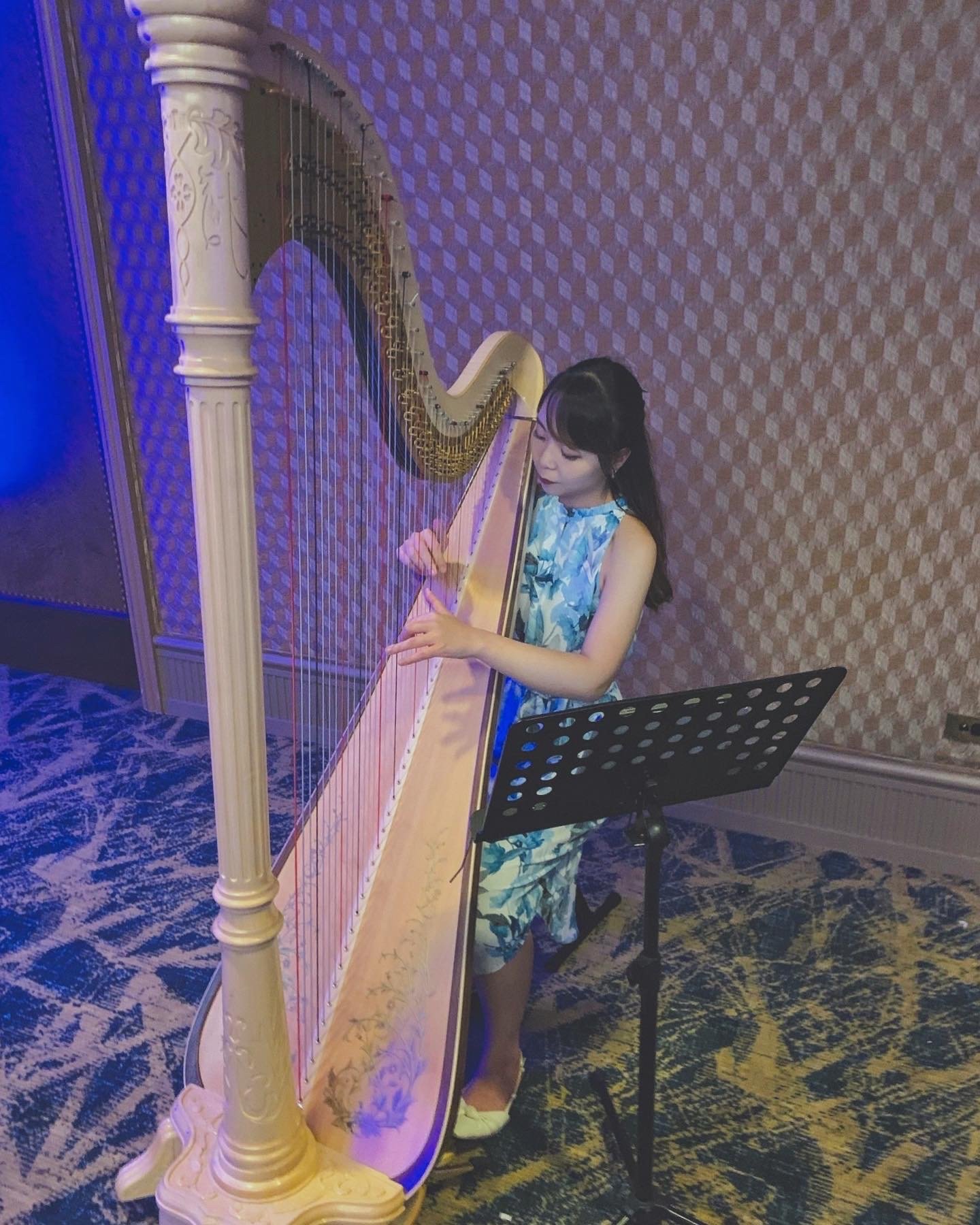 Harp Music for Wedding Reception at Hyatt Regency Perth, Oct 2022
