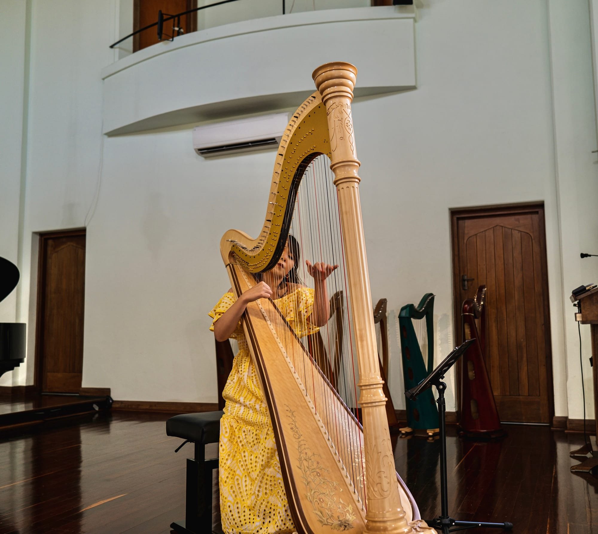 Harp recital  Dec 2022