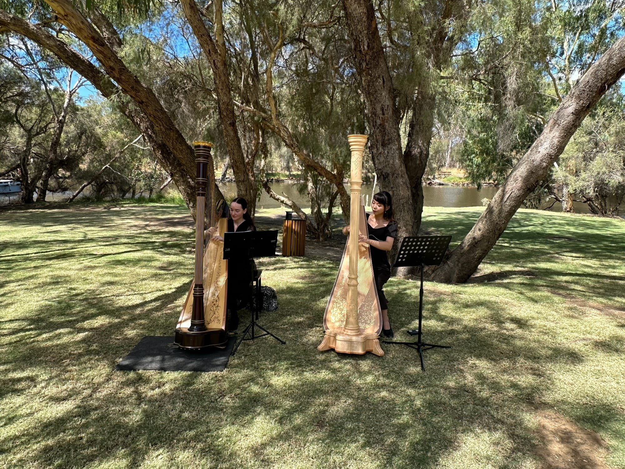 Harp duo for a wedding at Caversham house