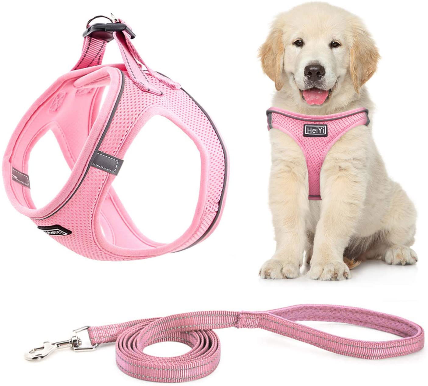 Harness/Leash