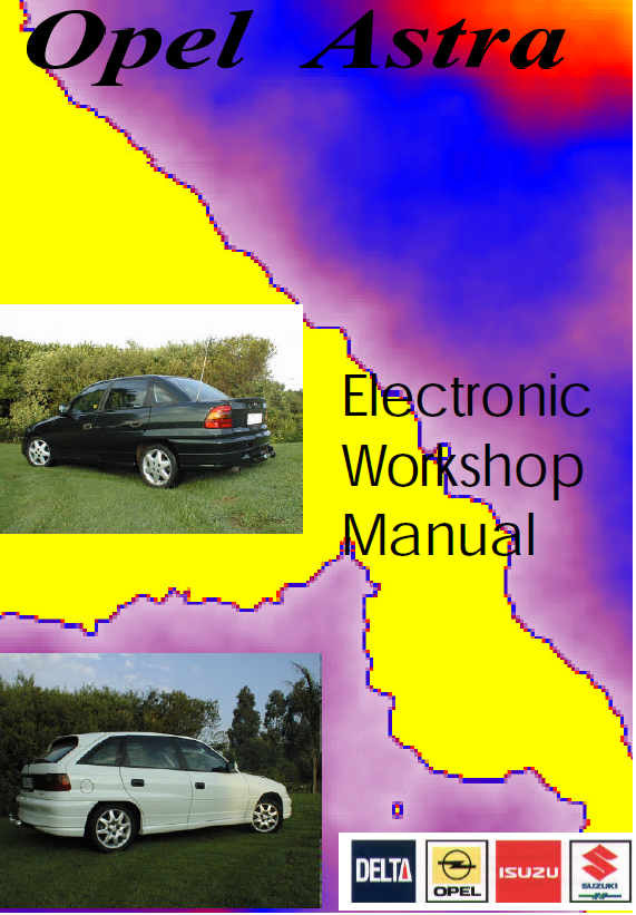 Electronic Workshop Manual