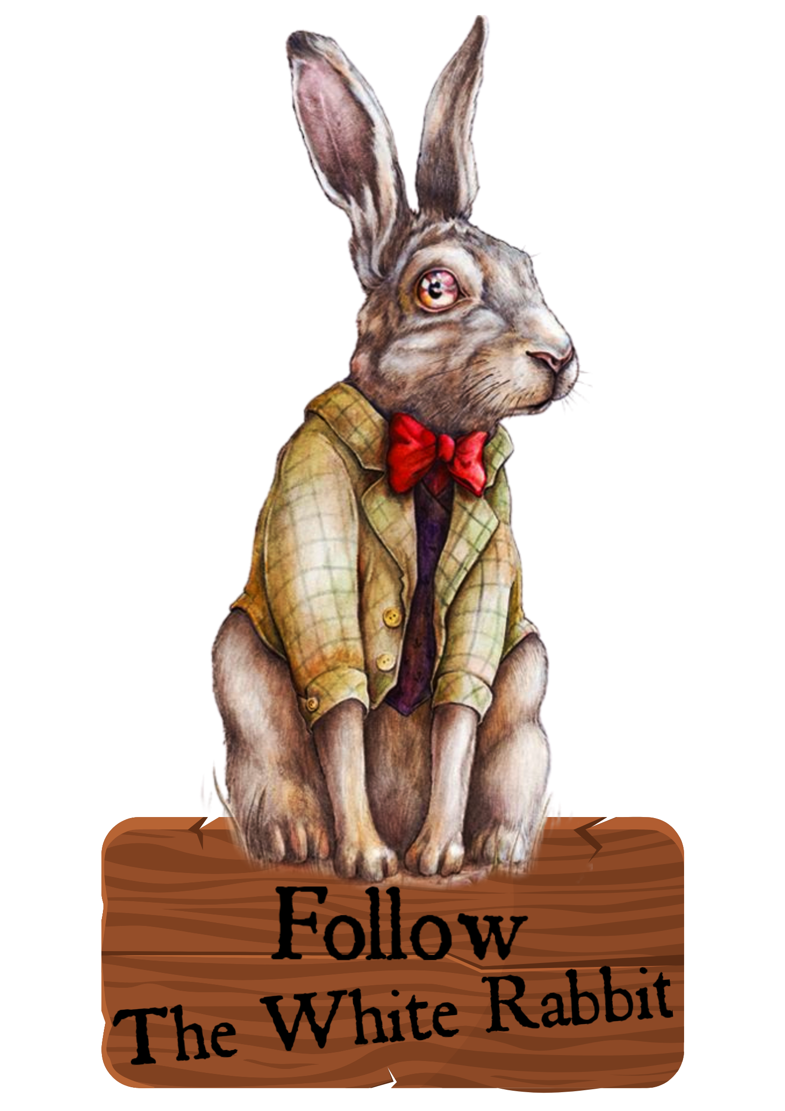 Placa Follow the White Rabbit - R$ 90,00 - ESGOTADO