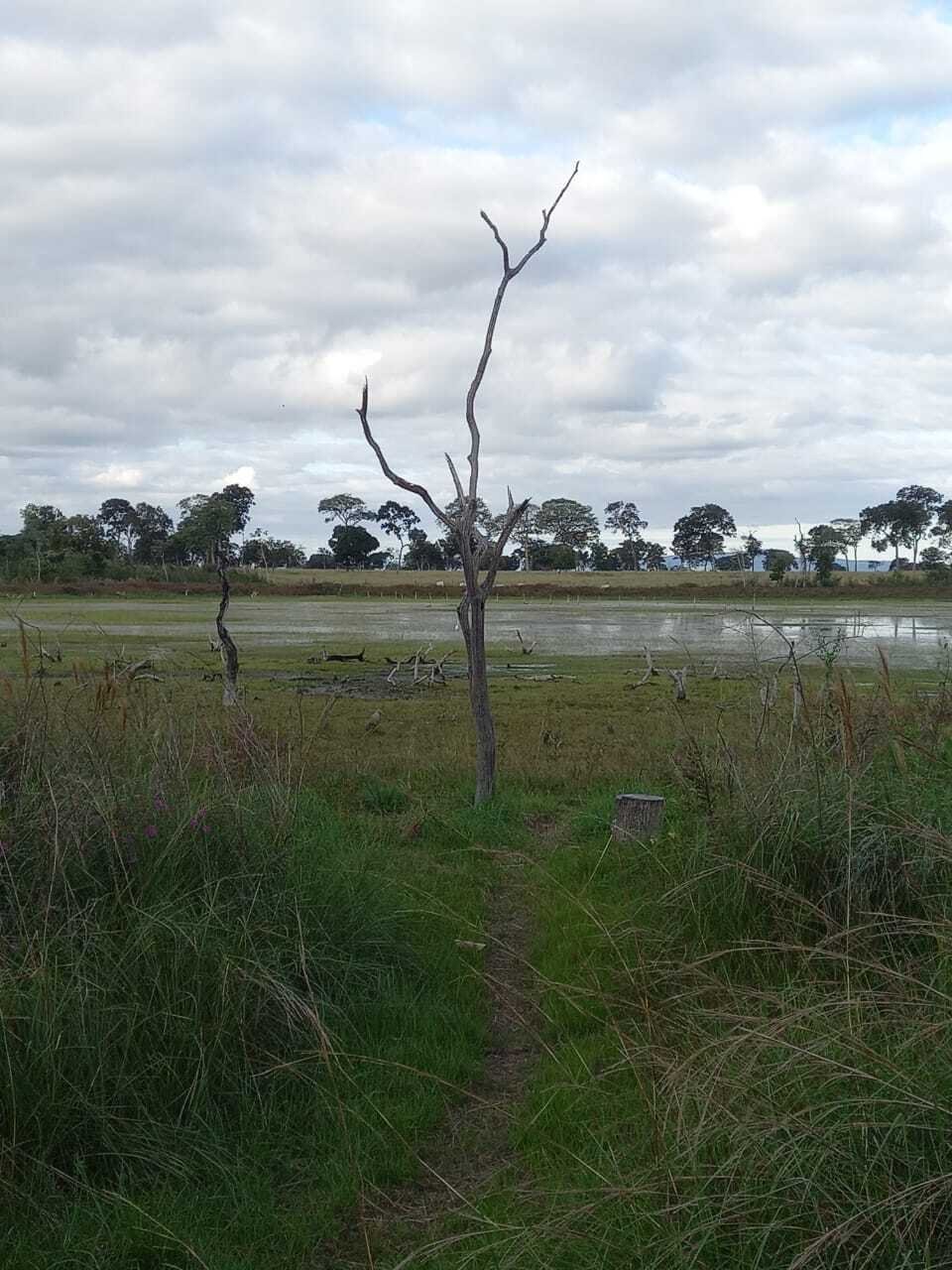 Experiência agroecológica em uma área de Cerrado e Pantanal