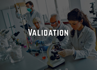 The Master Validation Plan –The Unwritten Requirements